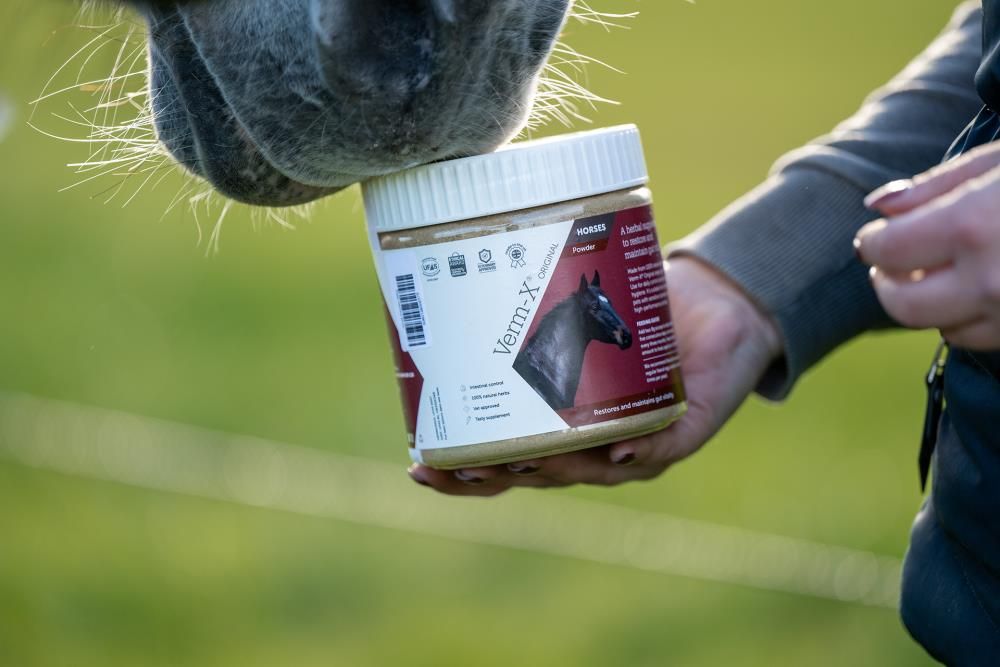 Person hält Dose 'Verm-X' Pulver für Pferde. Pferd berührt Dose. Etikett mit Produktabbildung und Text.