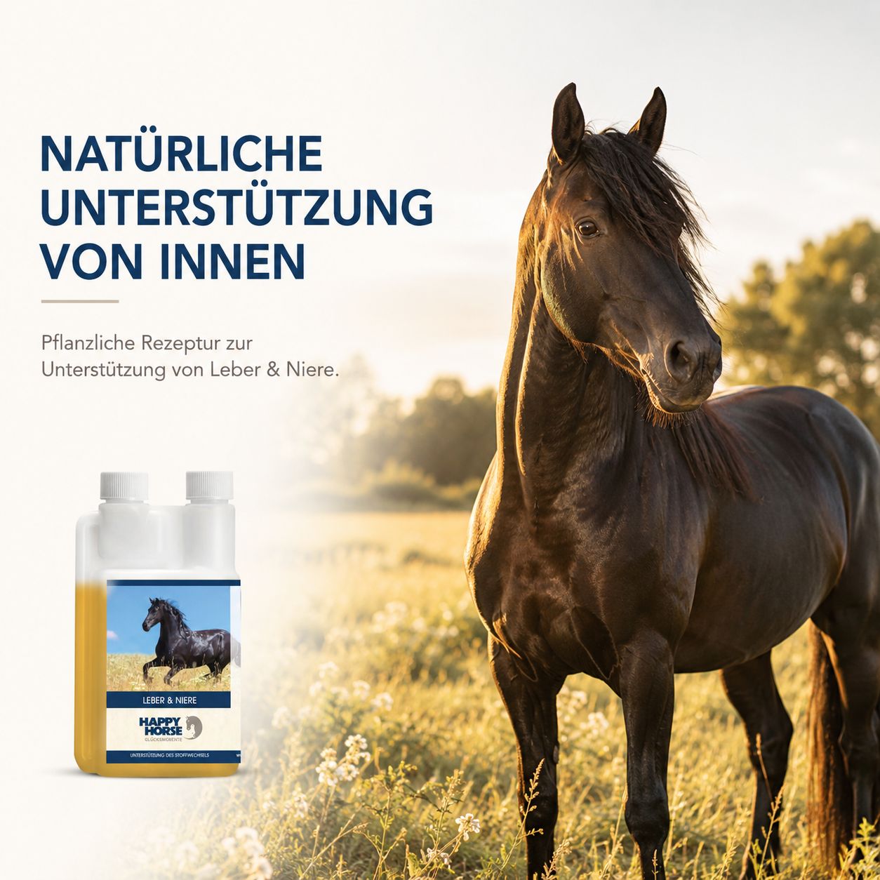 Brauner Hengst auf einer sonnigen Wiese. Daneben eine Flasche mit gelbem Inhalt. "Natürliche Unterstützung von innen."