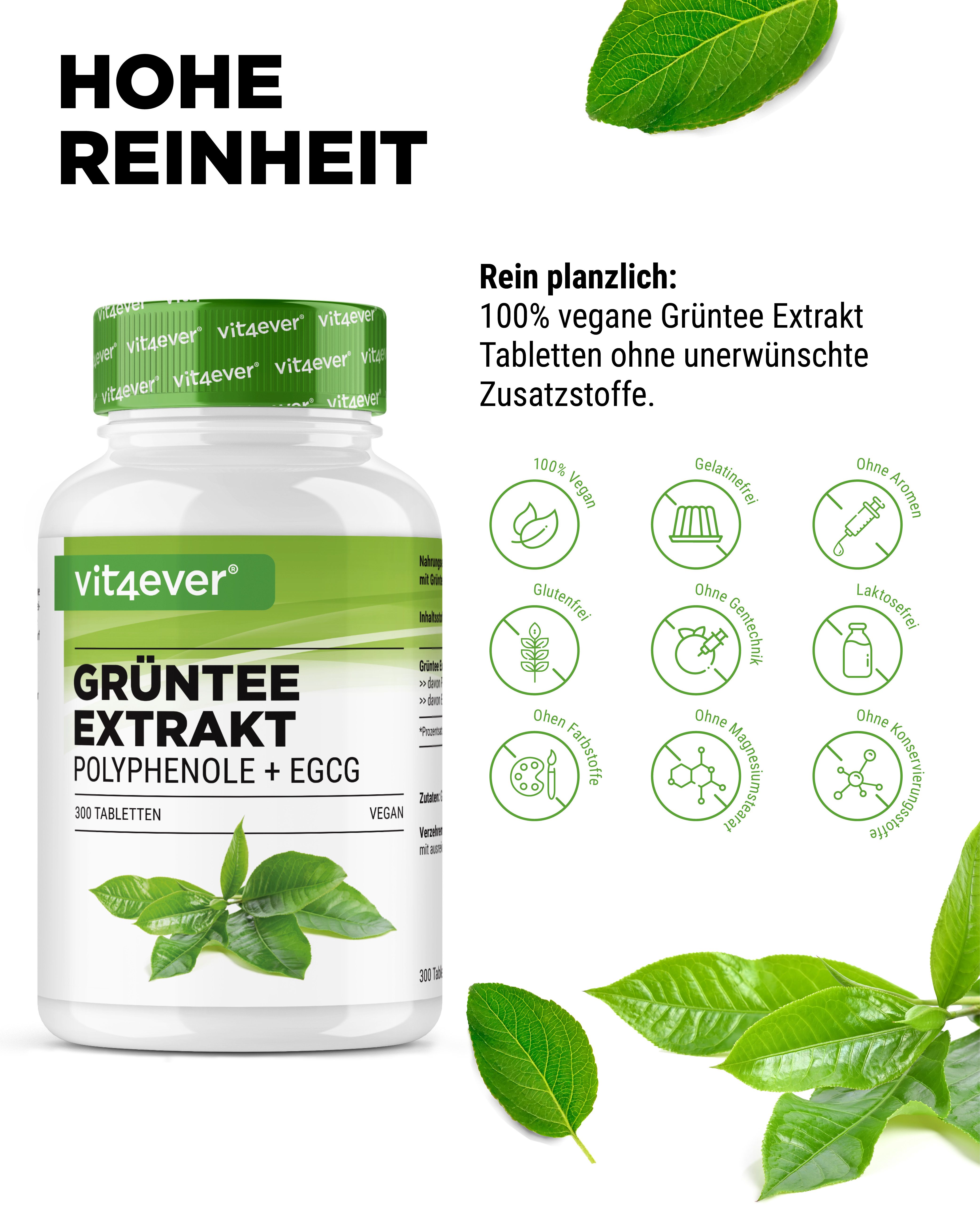 vit4ever Grüntee Extrakt