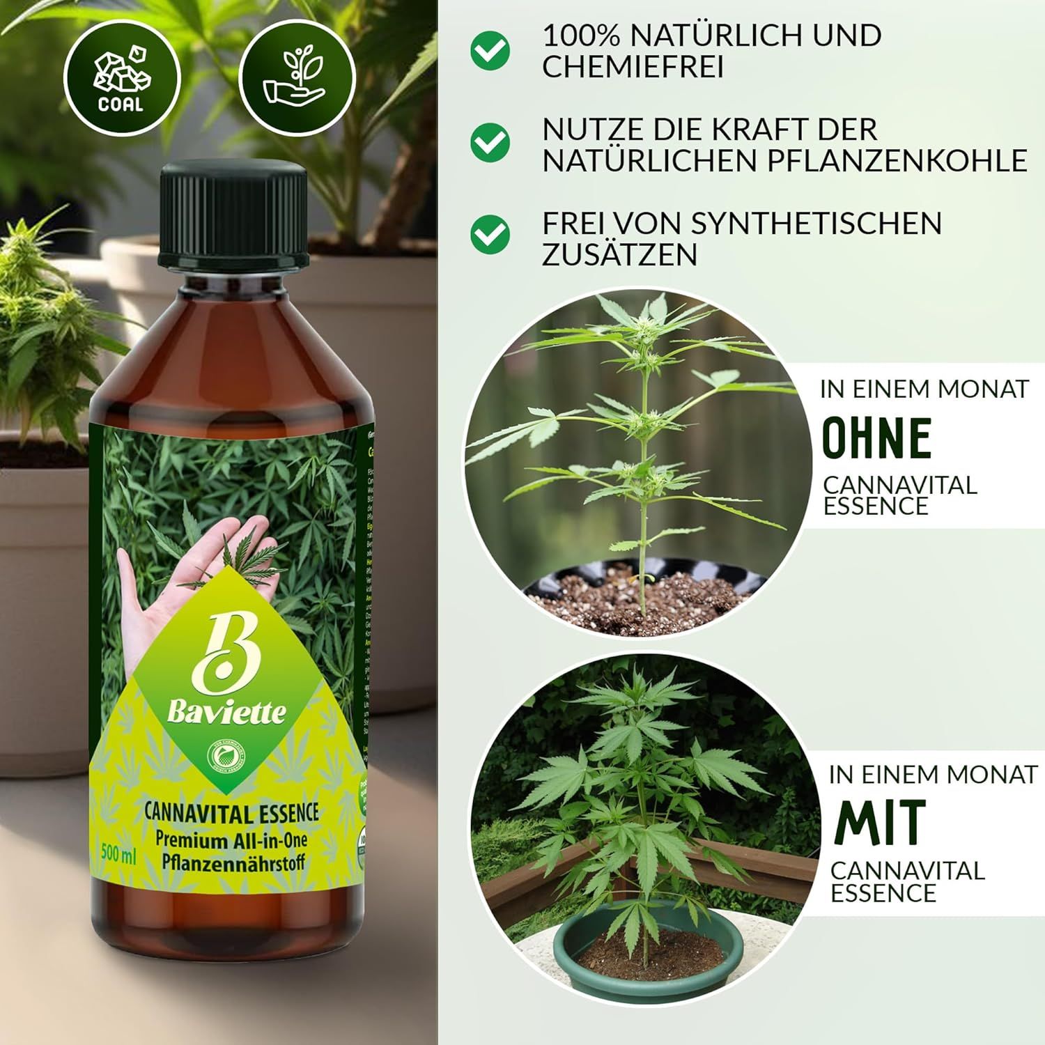 Baviette CannaVital Essence - Organischer Flüssigdünger für Zier- und Grünpflanzen
