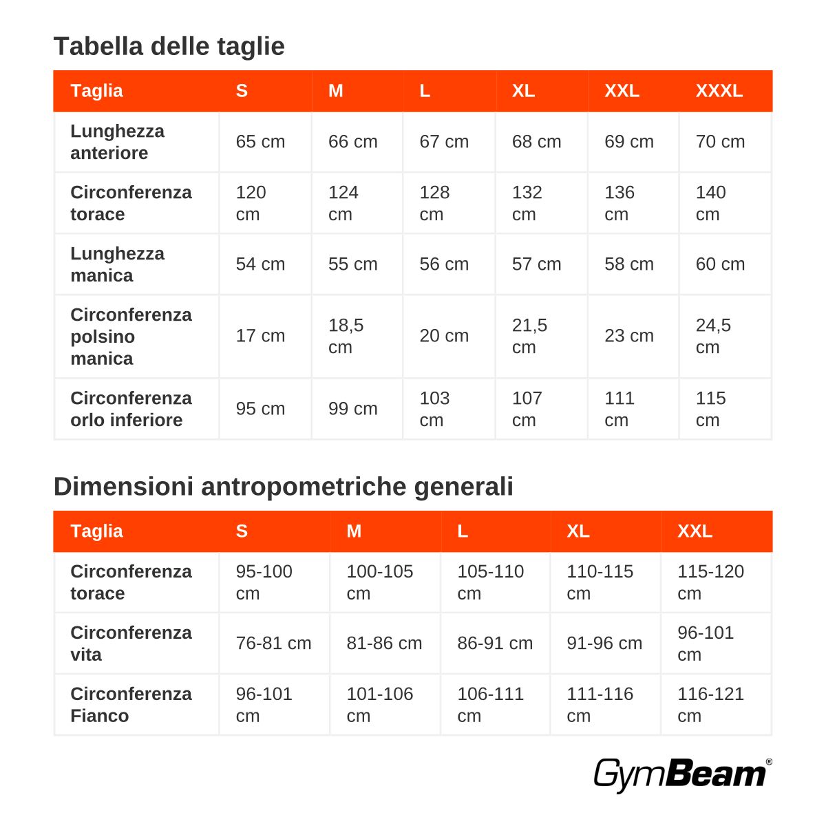 GymBeam Hoodie Herren Oversized mit Kapuze in Grey
