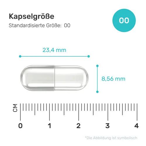 Kapsel mit Maßangaben. Länge: 23,4 mm, Durchmesser: 8,56 mm. Beschriftung: Kapselgröße, Standardisierte Größe: 00.
