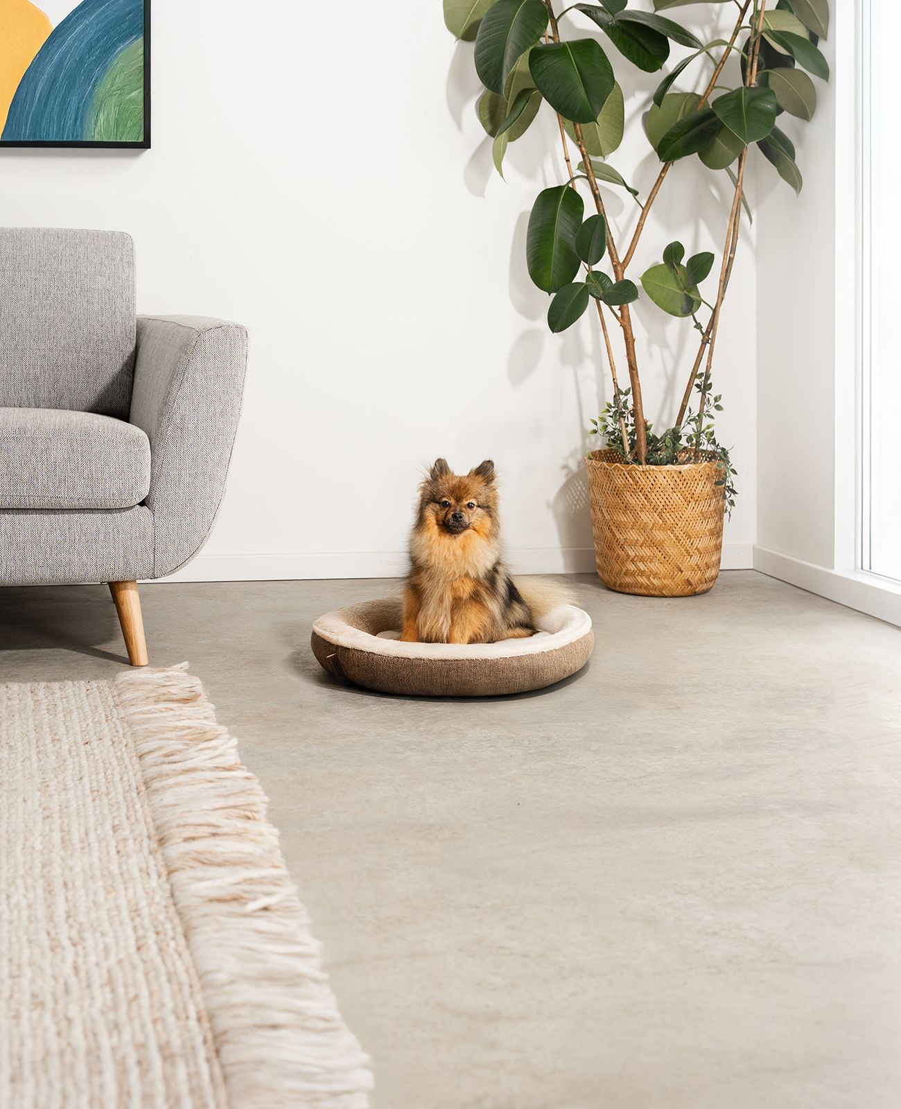 lionto Rundes Hundebett - Donutbed