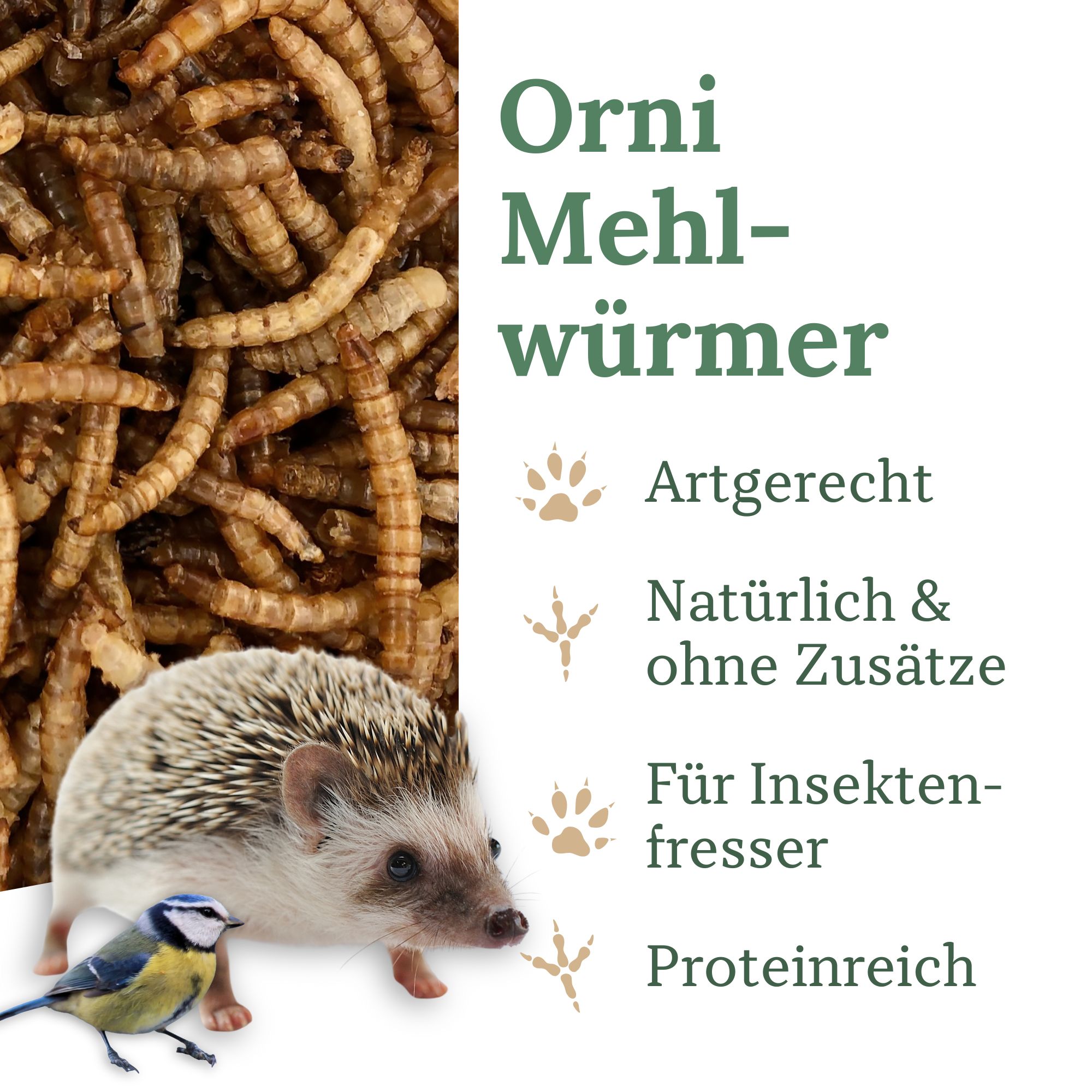 Getrocknete Mehlwürmer, braun. Text: Orni Mehlwürmer, Artgerecht, Natürlich & ohne Zusätze, Für Insektenfresser, Proteinreich. Igel und Vogel.