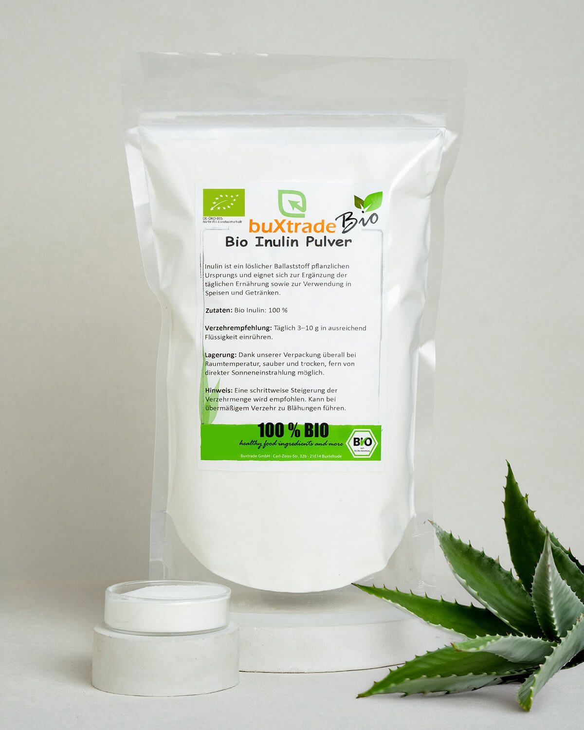 Bio Inulin Pulver in einem Standbeutel. Daneben ein kleines Glas mit Pulver und eine Aloe Vera Pflanze.