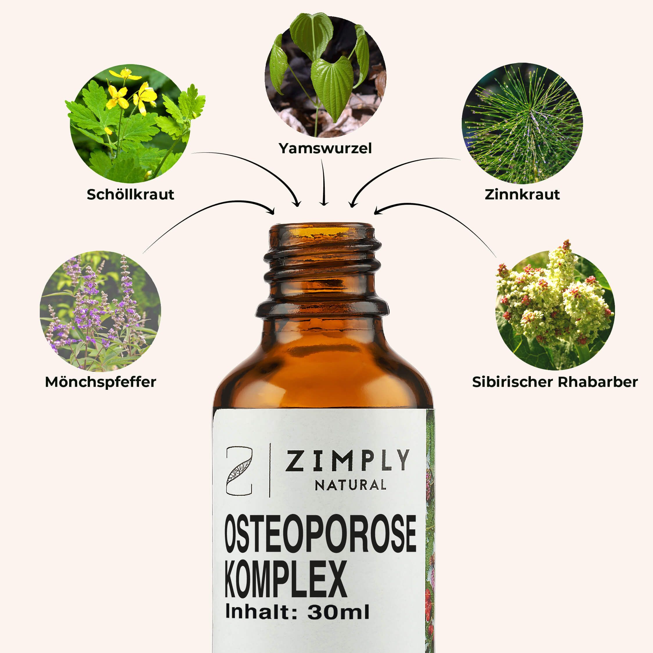 Produktflasche mit Kräutern: Schöllkraut, Yamswurzel, Zinnkraut, Mönchspfeffer, Sibirischer Rhabarber. Text: ZIMPLY NATURAL Osteoporose Komplex, 30ml.