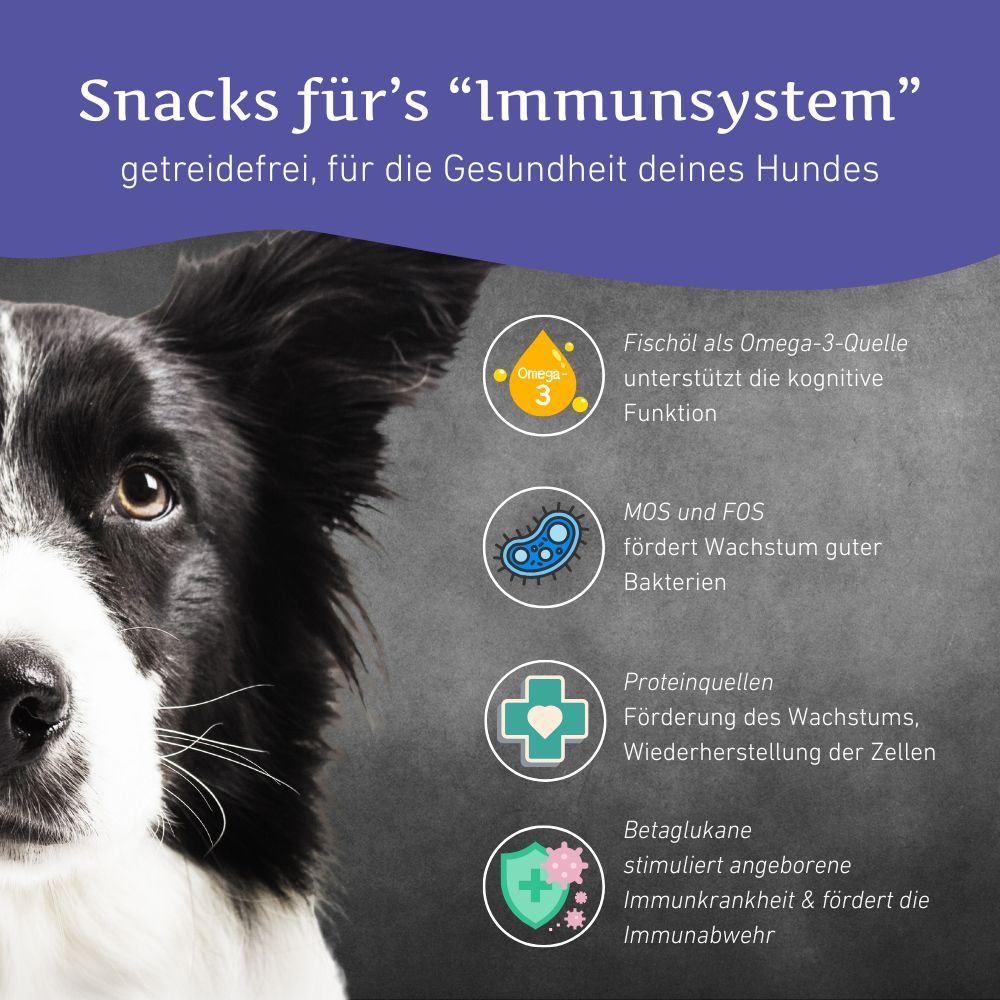 Hund mit Text und Icons. Text: Snacks fürs "Immunsystem". Icons: Omega-3, MOS und FOS, Proteinquellen, Betaglukane.