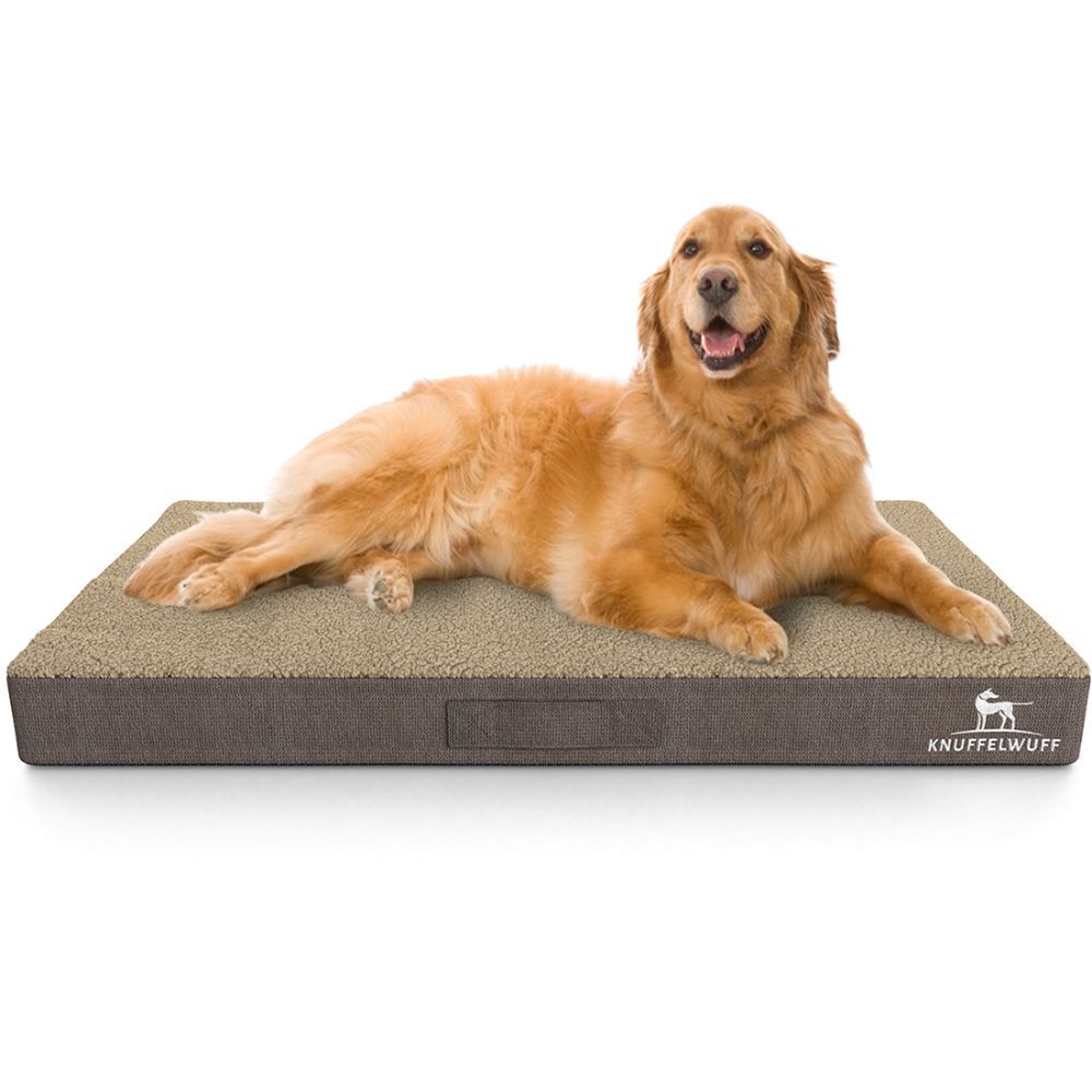 Orthopädische Hundematte mit braunem Bezug und beigem Liegepolster. Ein Golden Retriever liegt darauf.