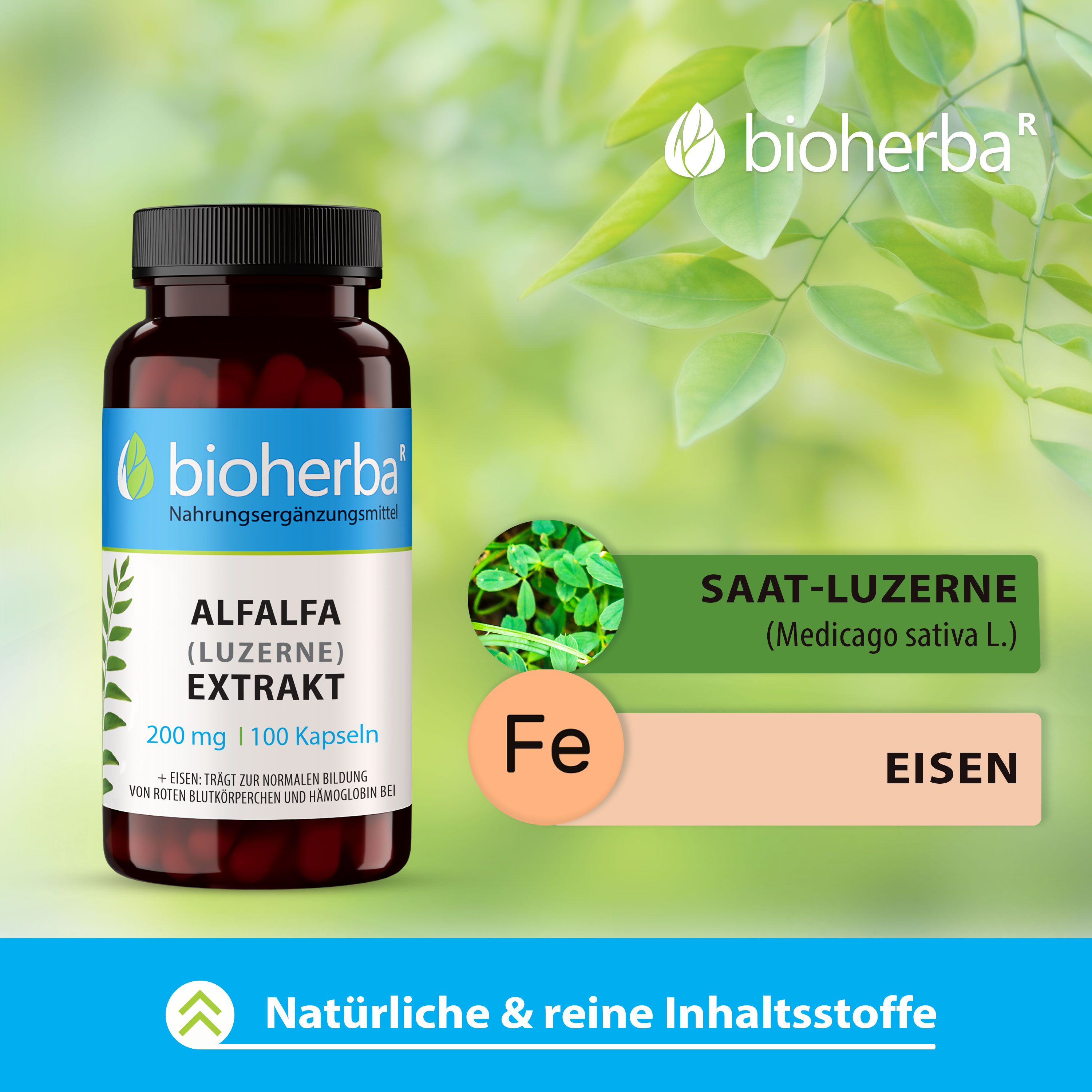 Bioherba Alfalfa (Luzerne) Extrakt Kapseln