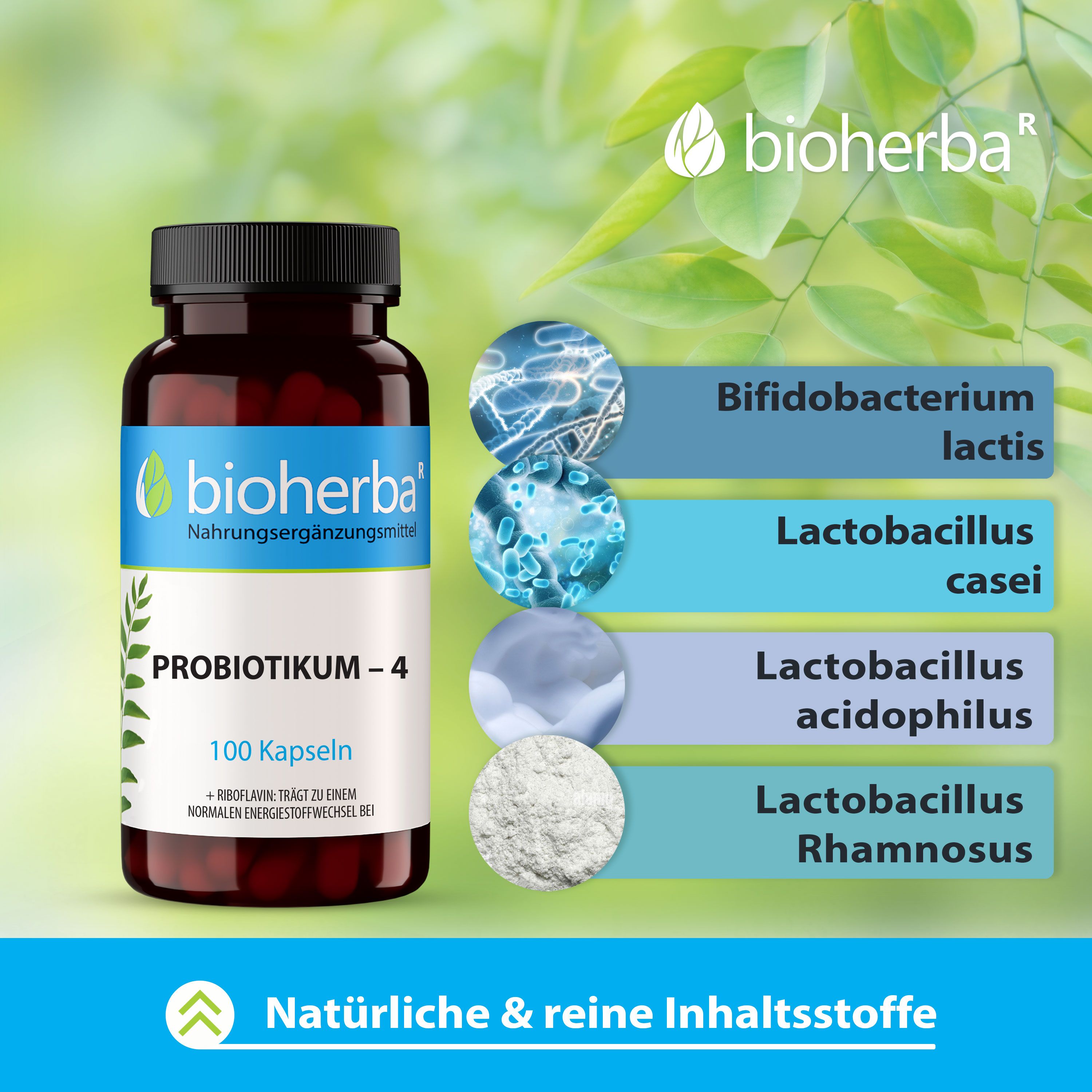 Bioherba Probiotikum–4 Kapseln
