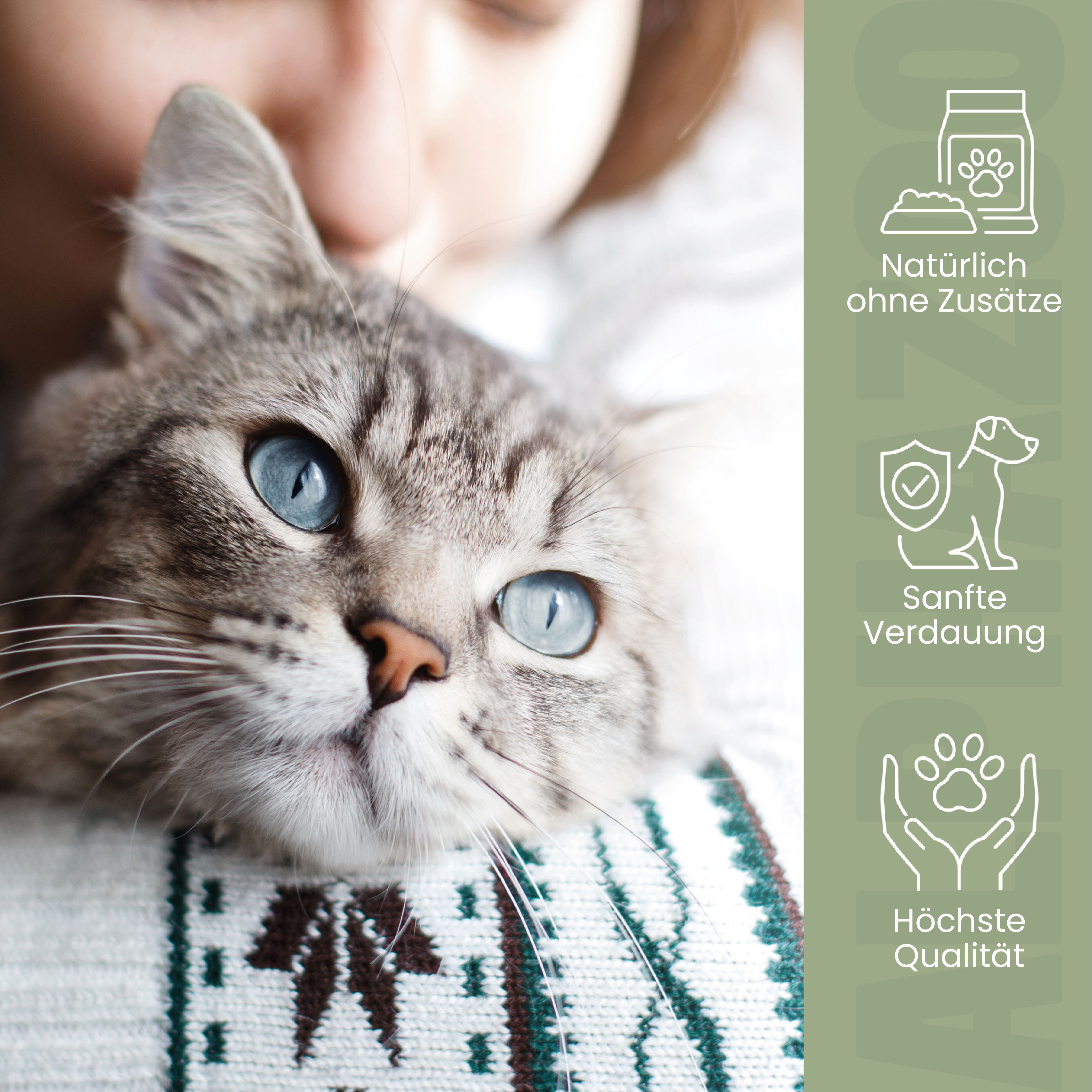 Flohsamenschalen gemahlen für Katzen