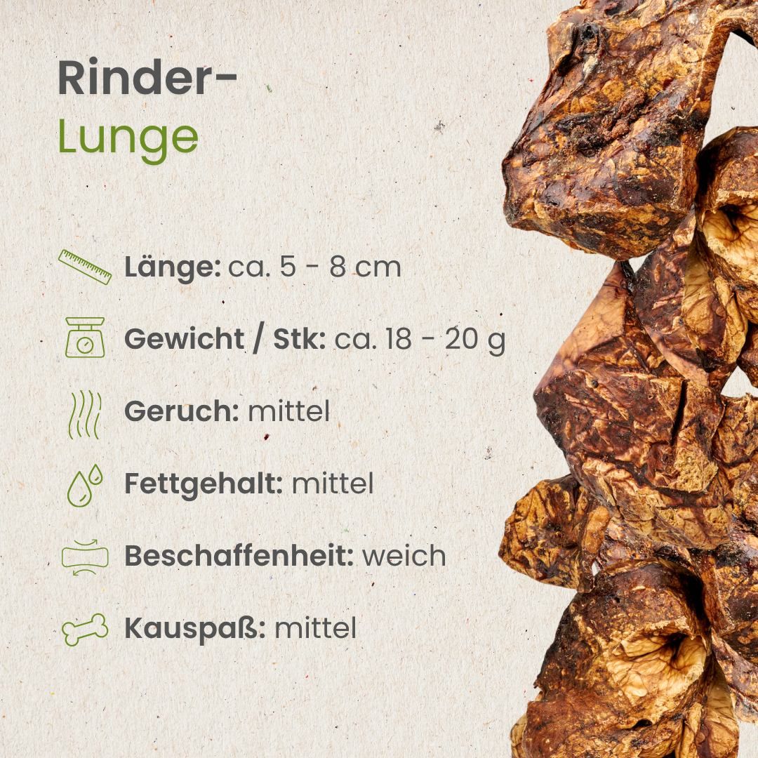 Text über die Wichtigkeit von Kauartikeln für Hunde, mit Illustrationen und einem Hund.