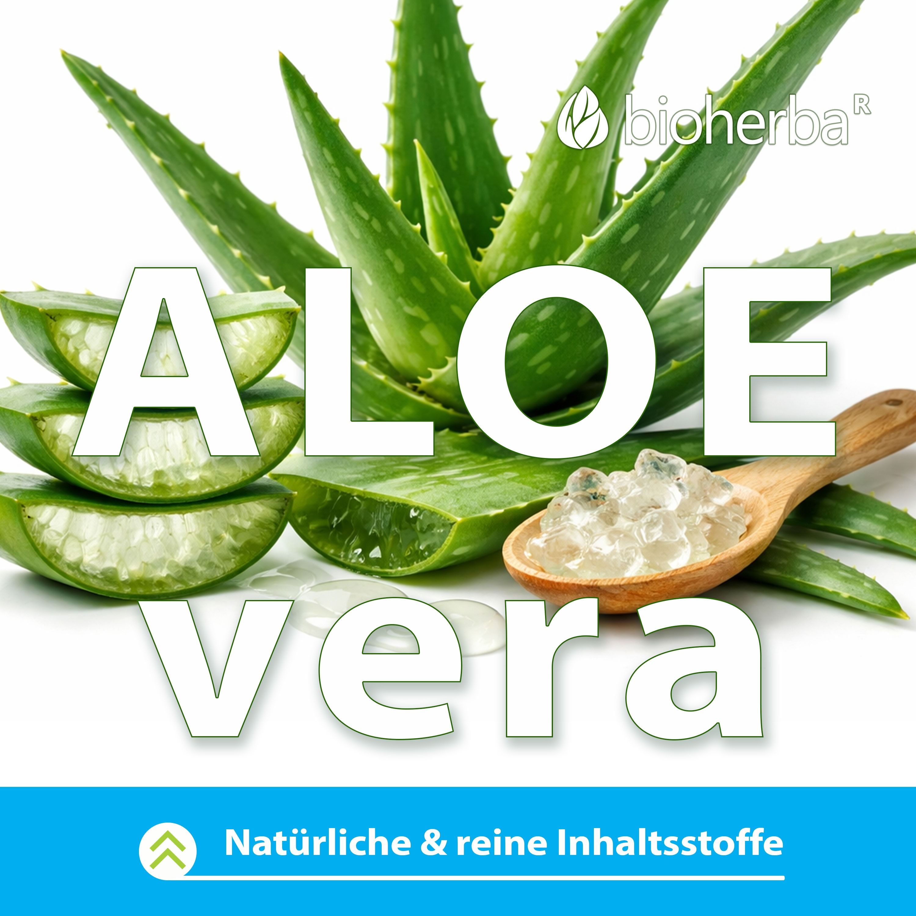 Aloe Vera Blätter und Gel. Holz-Löffel mit Gel. Text: Aloe Vera.