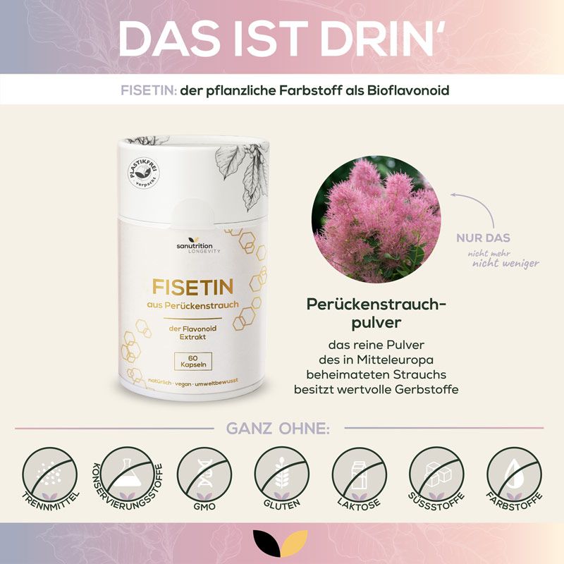 Produktabbildung und Infografik. Dose mit Fisetin-Kapseln. Text: Fisetin, 60 Kapseln. Zusätzliche Informationen zu Inhaltsstoffen.