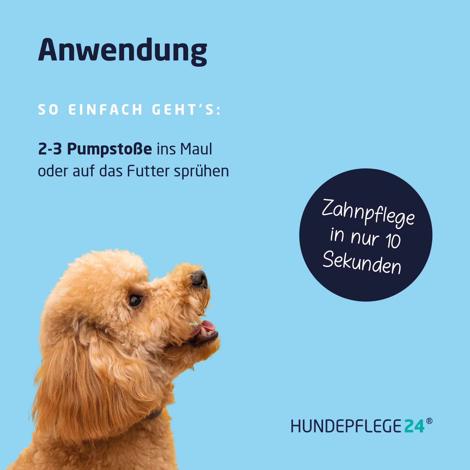 Anwendung: 2-3 Pumpstöße ins Maul oder auf das Futter sprühen. Hund mit geöffnetem Maul. Text: Zahnpflege in nur 10 Sekunden.