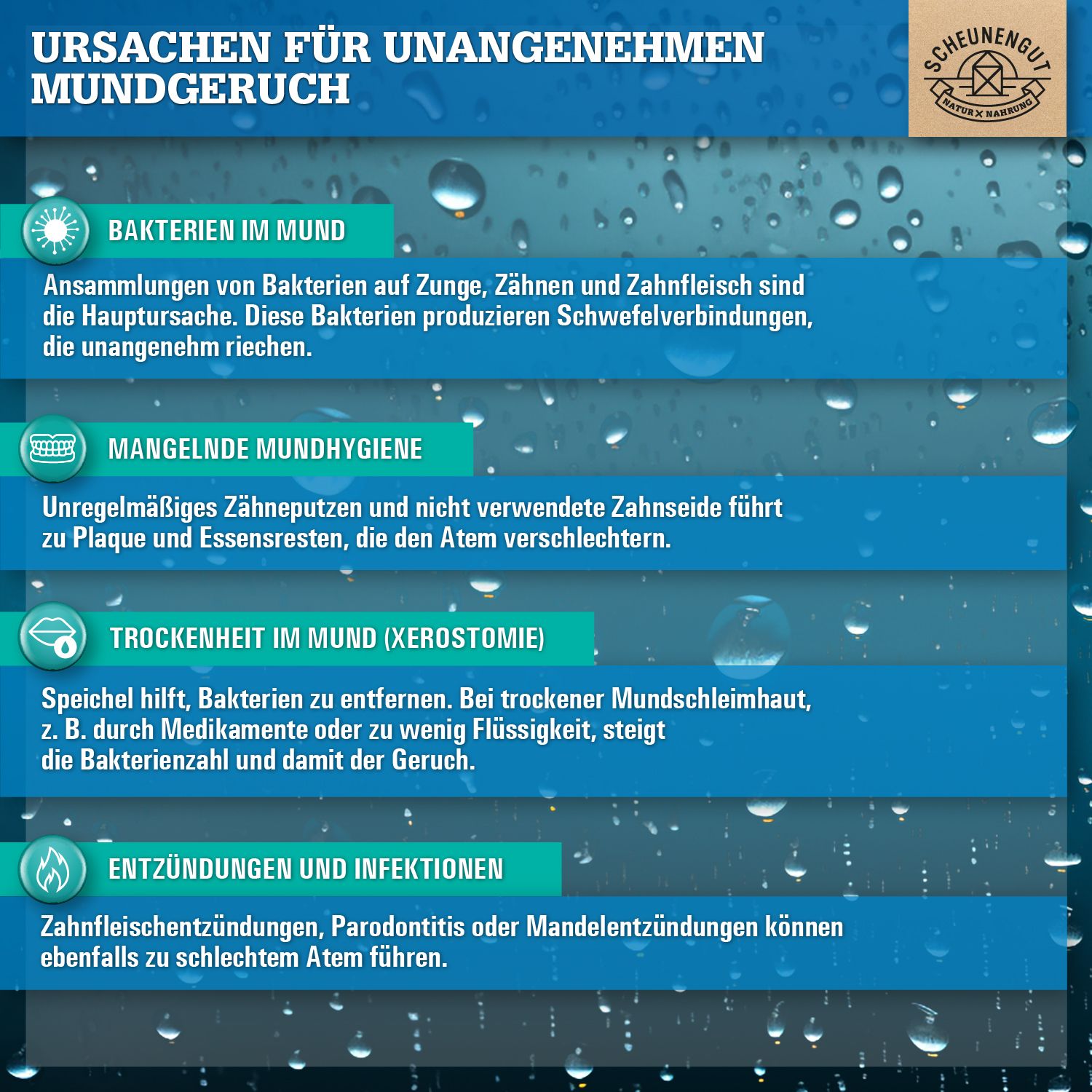Scheunengut® Floral - Atemfrische mit L. salivarius und Vitamin D3 | Kirsch-Zitrone Geschmack