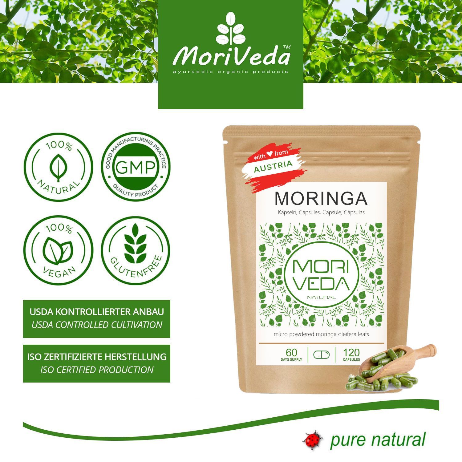 Beutel mit Moringa Kapseln. Aufschrift: MORINGA, MORI VEDA NATURAL. 120 Kapseln. Siegel: natürlich, vegan, glutenfrei.
