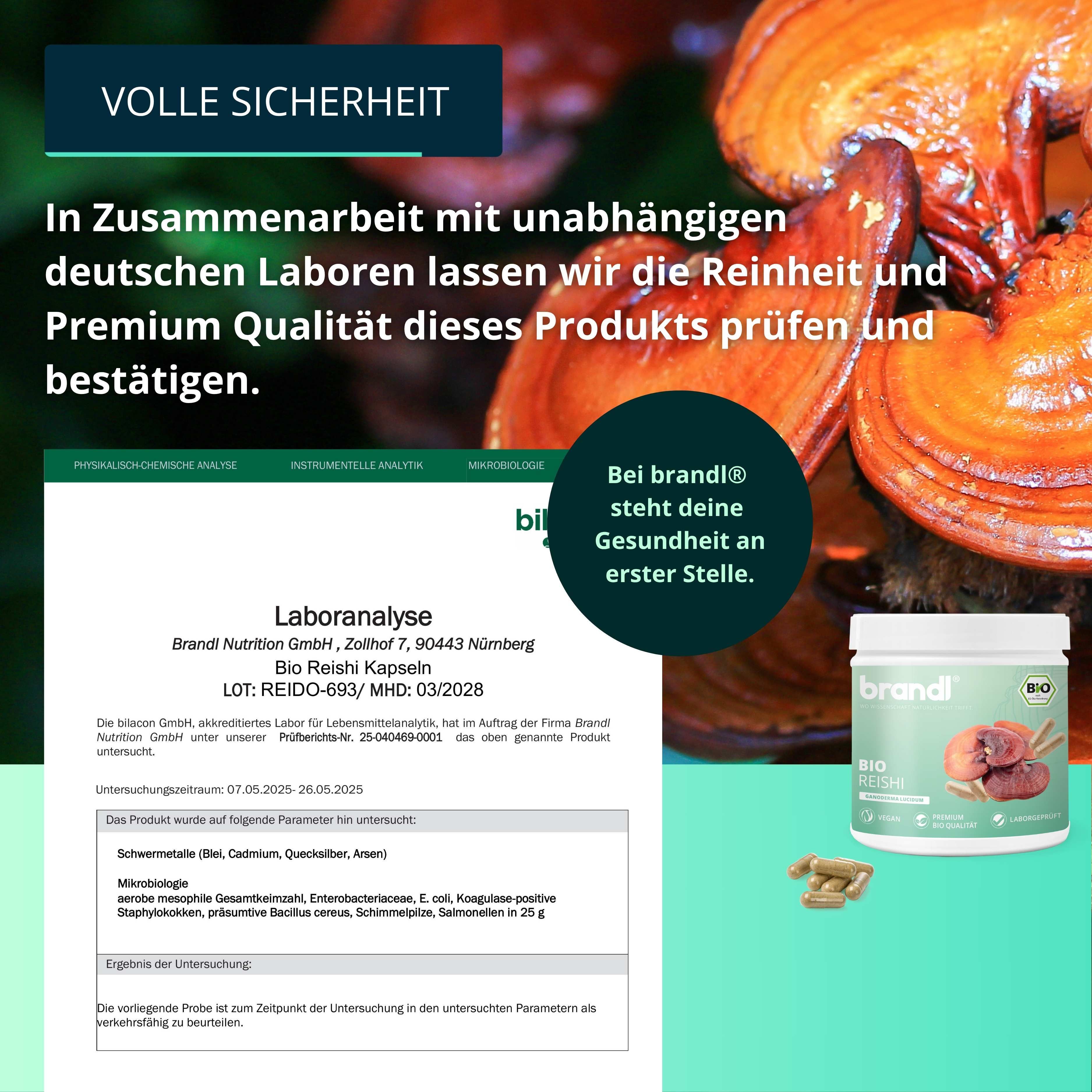 Laboranalyse-Zertifikat mit Informationen zu Reinheit und Qualität. Produktabbildung: brandl® Bio Reishi. Kapseln.