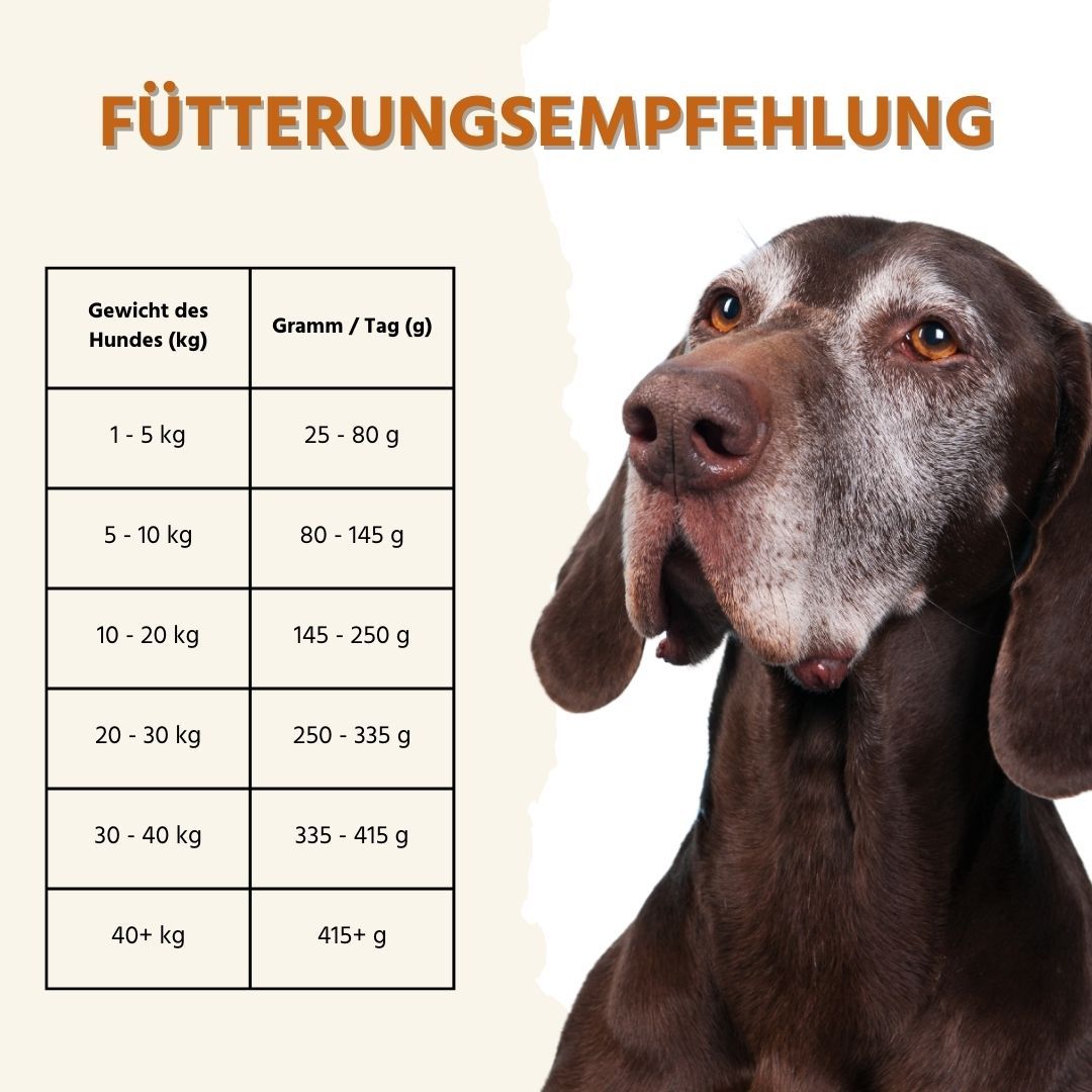 Fütterungsempfehlungstabelle. Gewicht des Hundes (kg) und Gramm/Tag (g). Hund im Hintergrund.