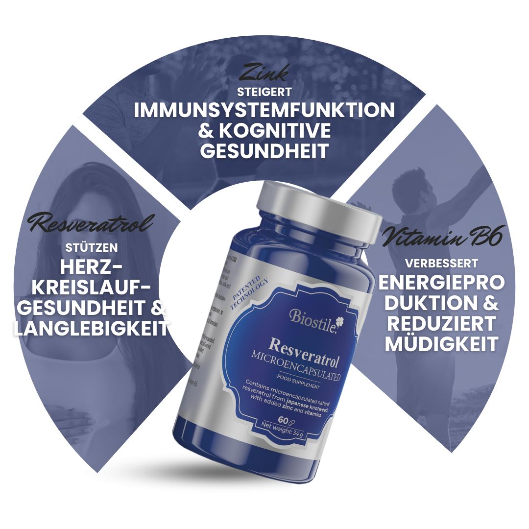 Produktflasche mit Grafik. Text: Immunsystemfunktion & kognitive Gesundheit. Herz-Kreislauf-Gesundheit & Langlebigkeit.