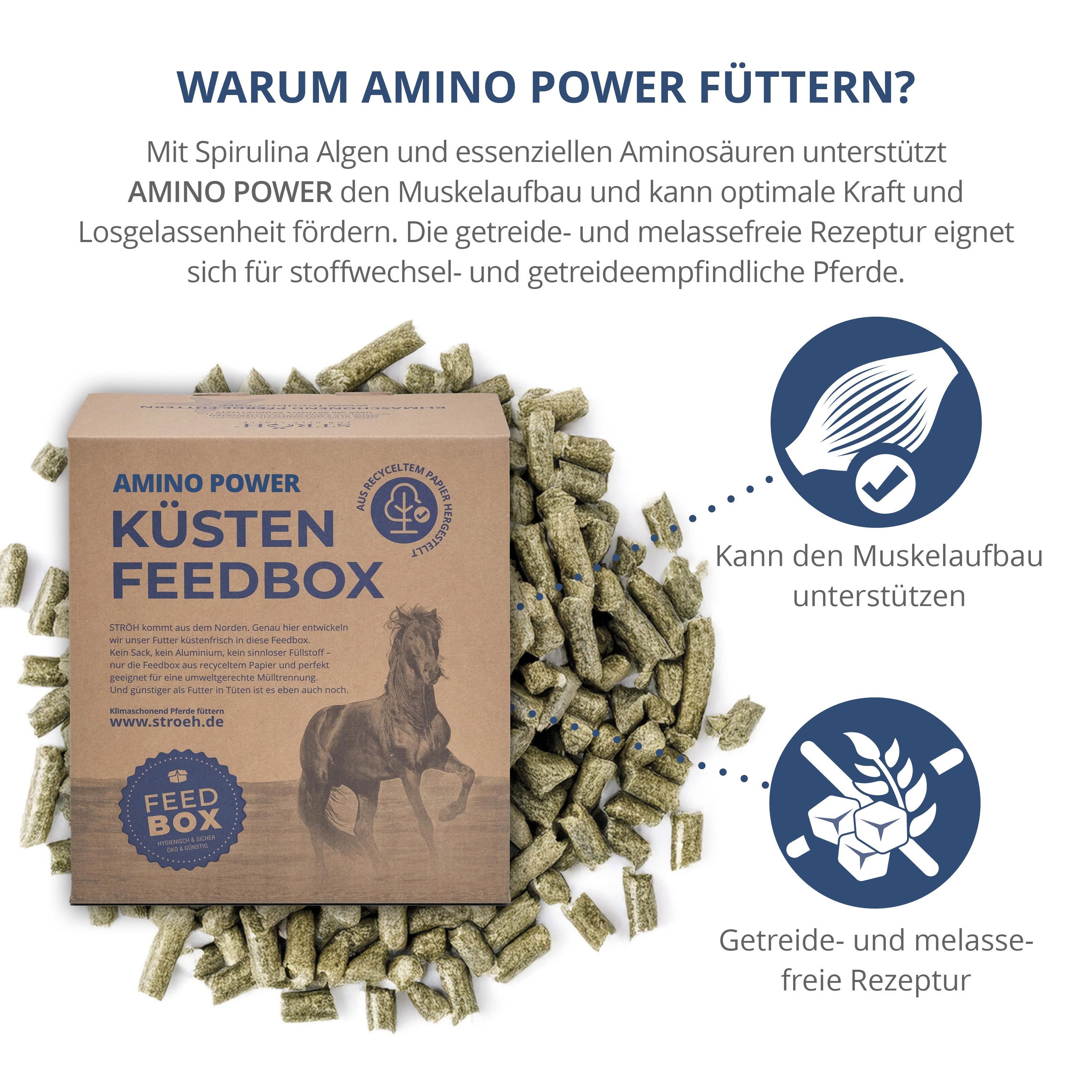 Karton "Amino Power Küsten Feedbox" mit Futterpellets. Text: Warum Amino Power füttern? Brauner Karton, grüne Pellets.