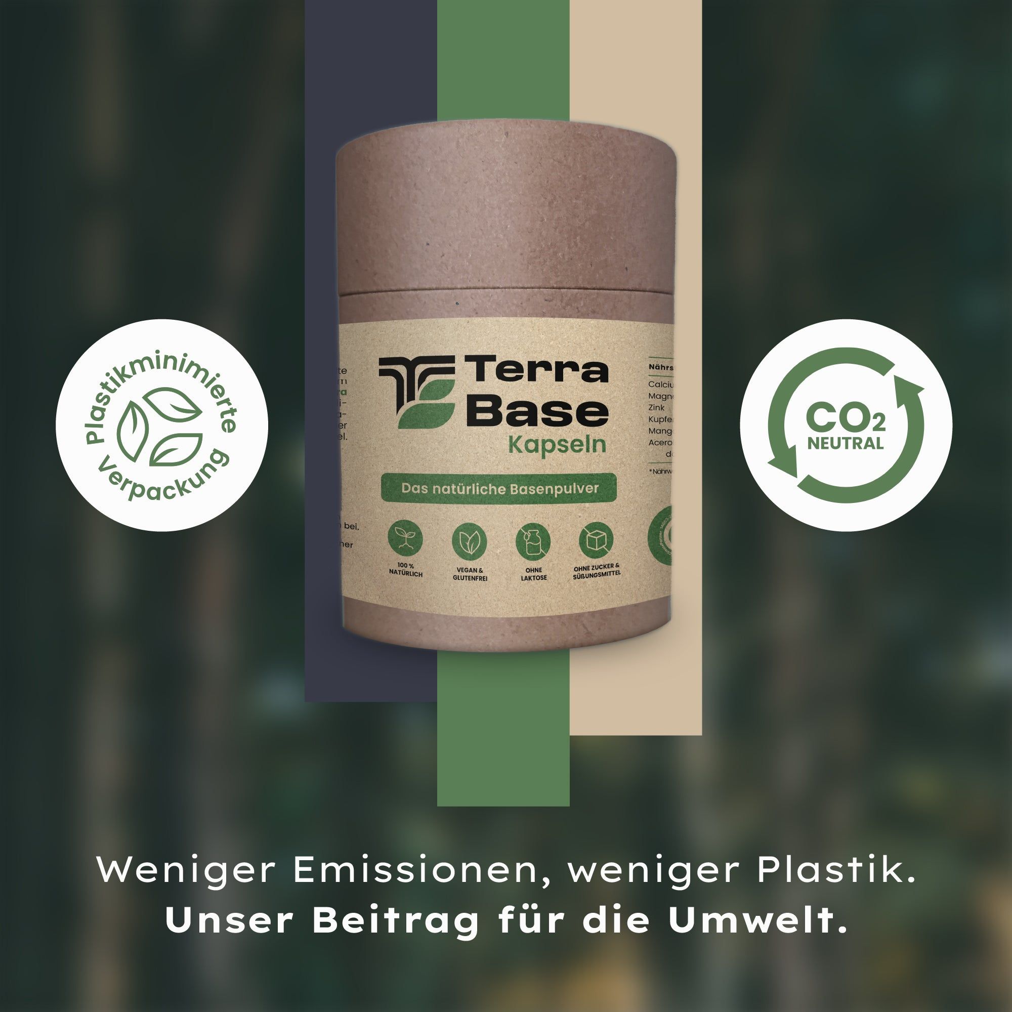 TerraBase® natürliche Basenpulver Kapseln
