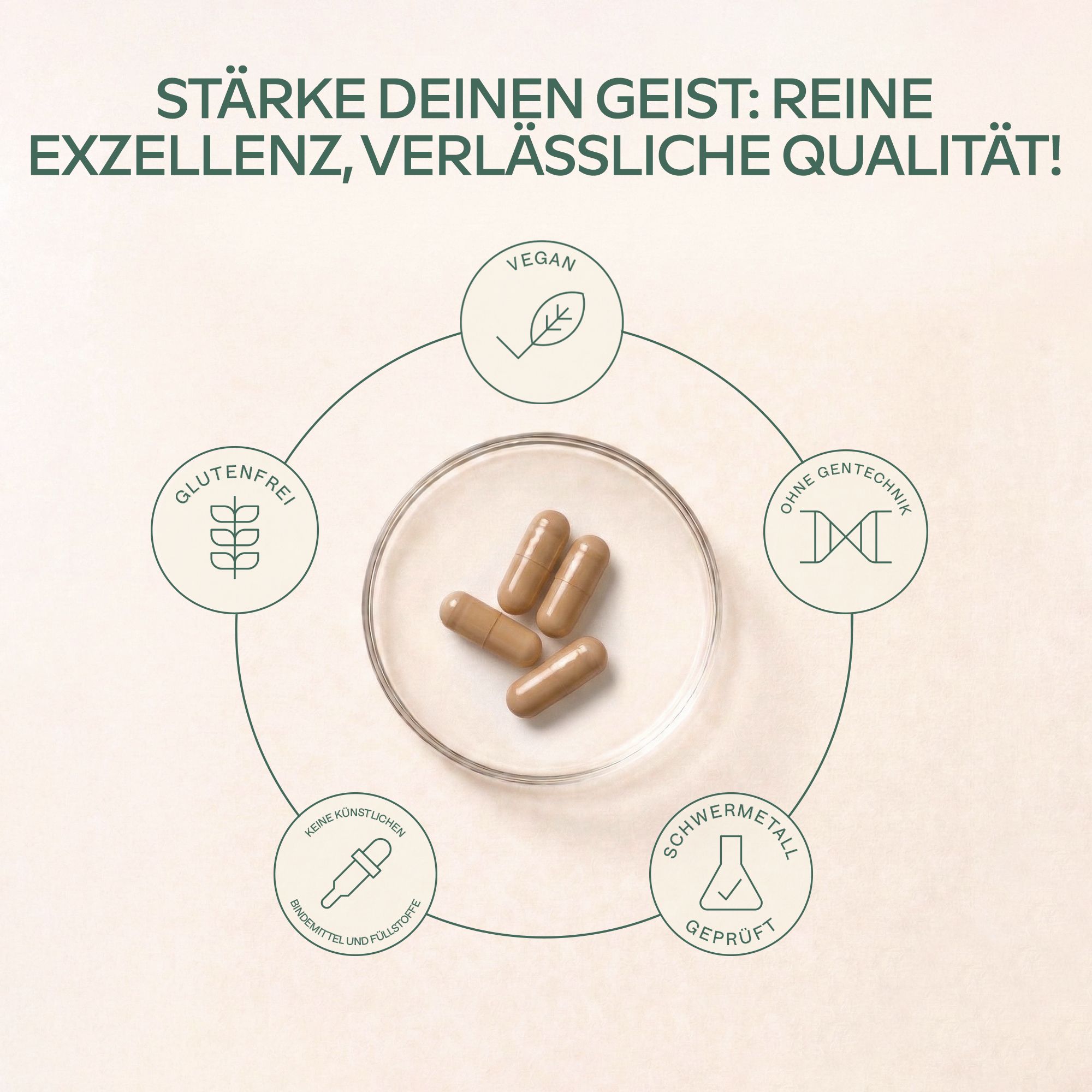 Kapseln in einer Schale. Symbole für glutenfrei, vegan, ohne Gentechnik, ohne Schwermetalle, geprüft.