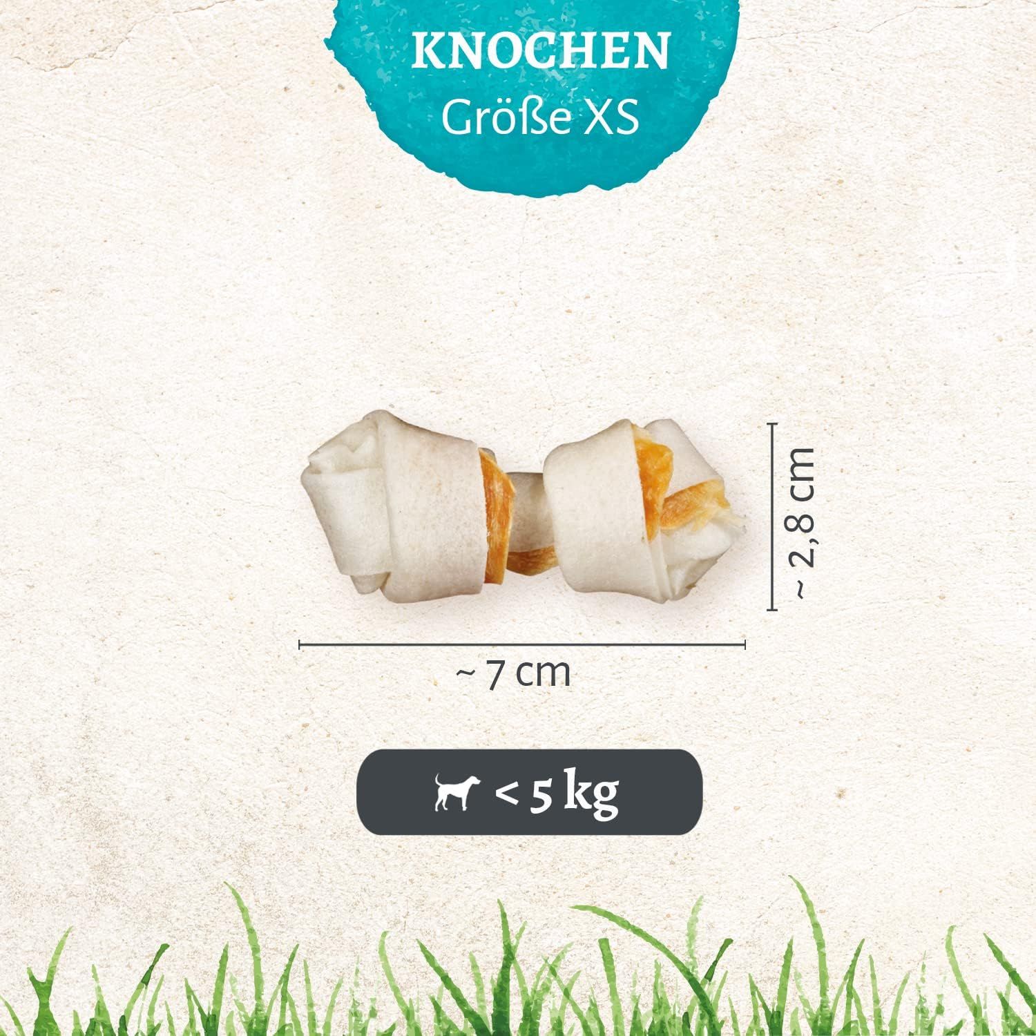 8in1 Pro Dental Knochen XS