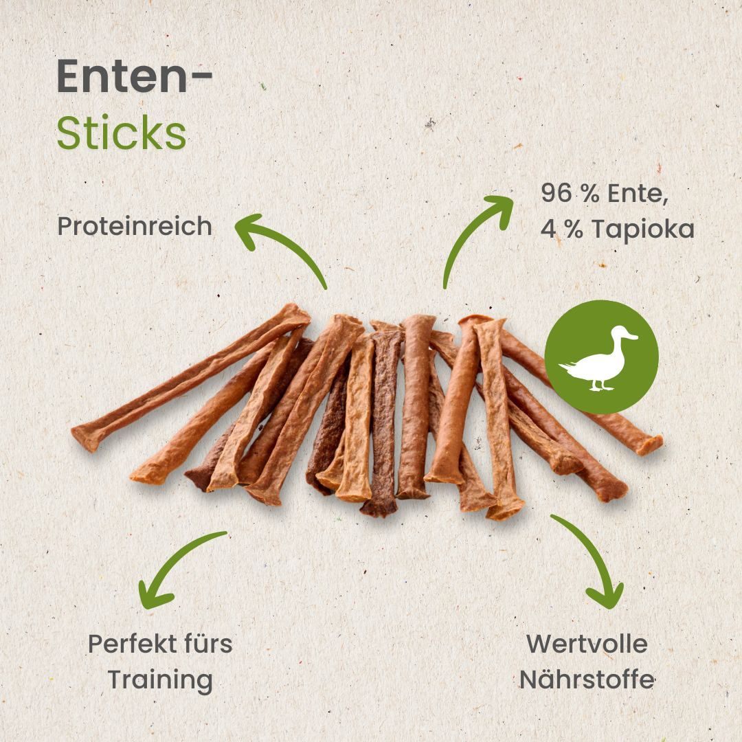 Hund wird von Hand mit einem Enten-Stick gefüttert.
