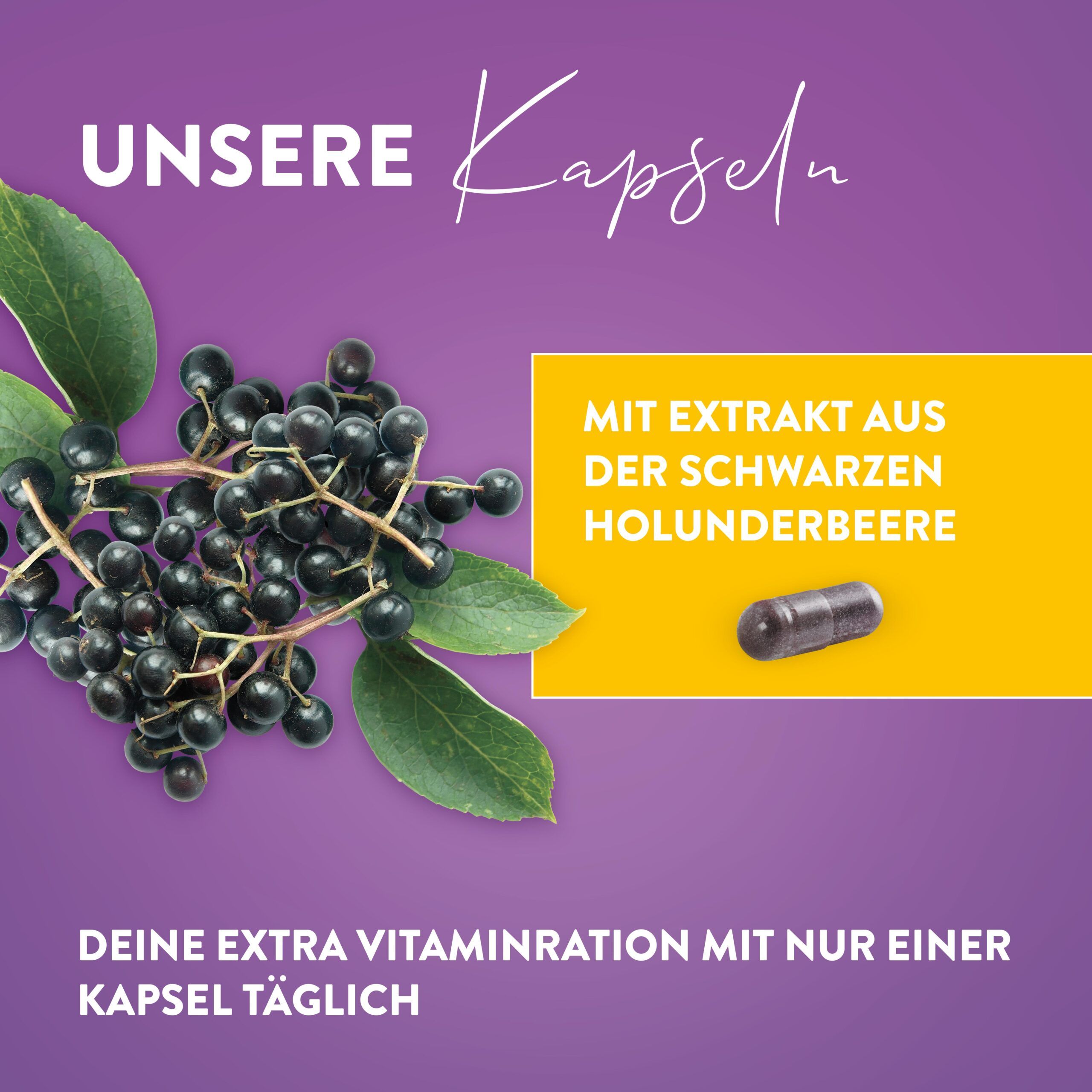 Lila Hintergrund mit Holunderbeeren und Blättern. Gelbes Feld mit Kapsel. Text: Extra Vitaminration mit nur einer Kapsel täglich.