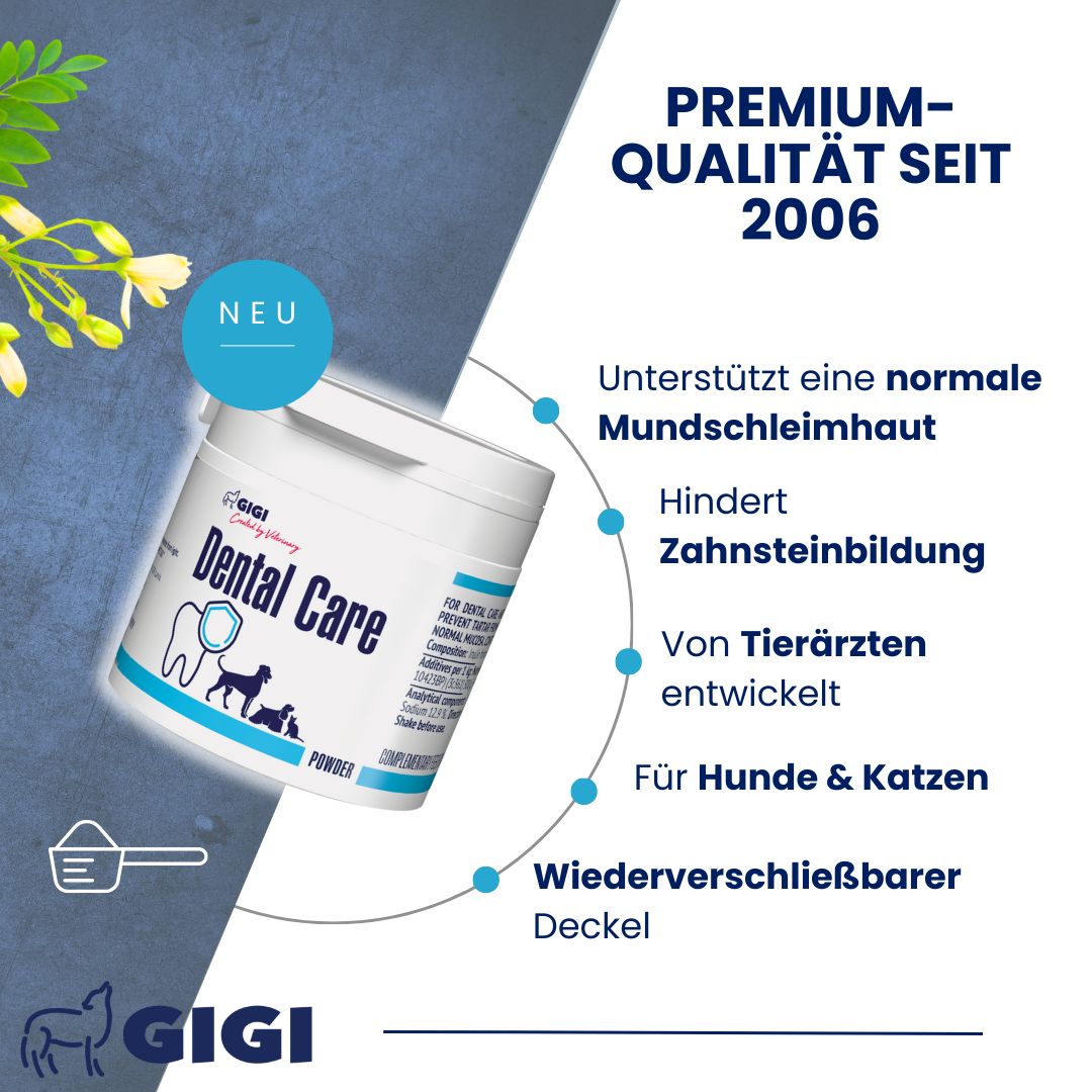 GIGI Dental Care Dose, schräg von oben. Text: Premium-Qualität seit 2006, unterstützt Mundschleimhaut, verhindert Zahnstein, für Hunde & Katzen.