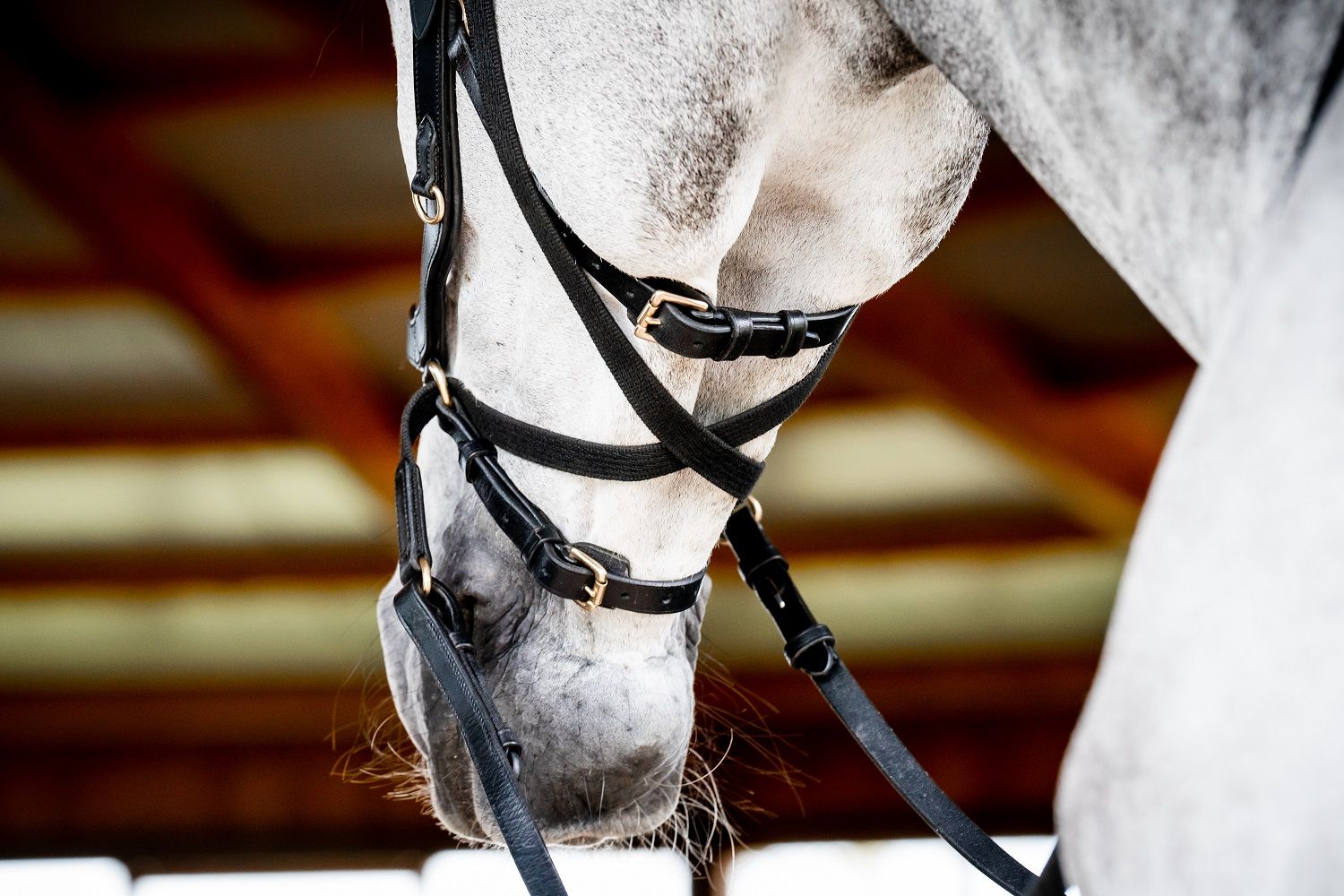 Horseware Micklem® 2 Multi Bridle