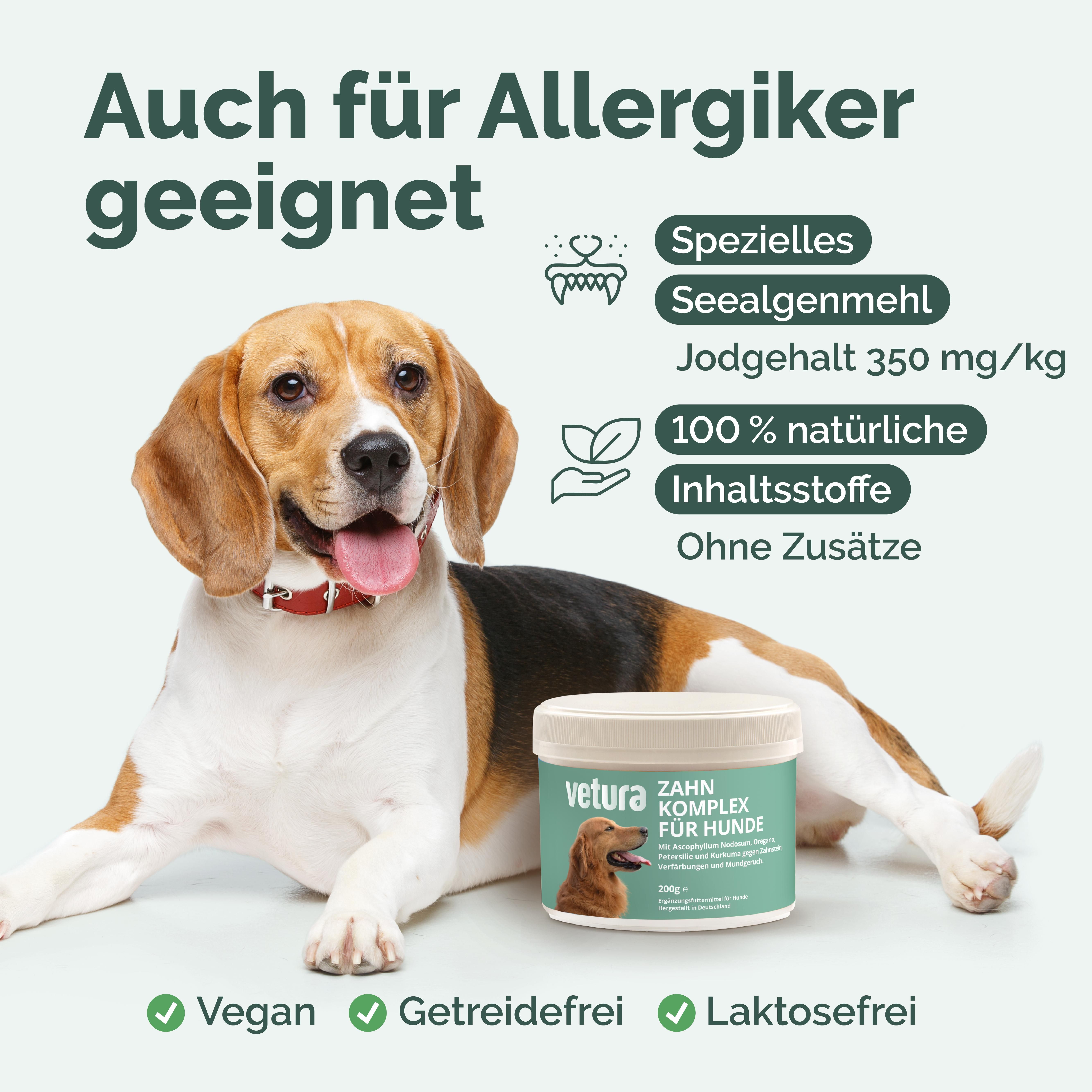 Hund neben Dose Vetura Zahn Komplex. Text: Auch für Allergiker geeignet. Logos: Vegan, Getreidefrei, Laktosefrei. Inhaltsstoffe: 100% natürlich, ohne Zusätze.