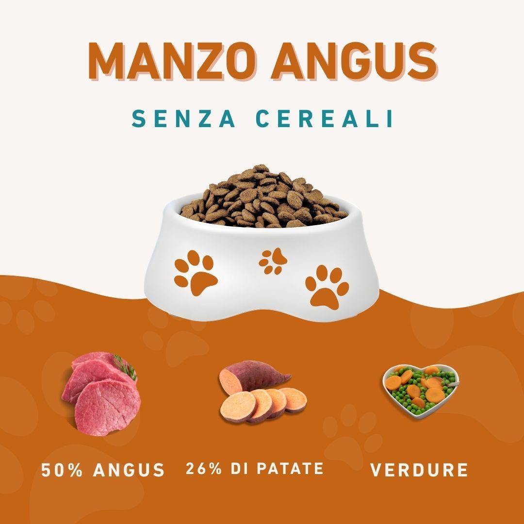 Hundenapf mit Trockenfutter. Daneben Fleisch, Süßkartoffelscheiben und Gemüse. Text: Manzo Angus senza cereali.