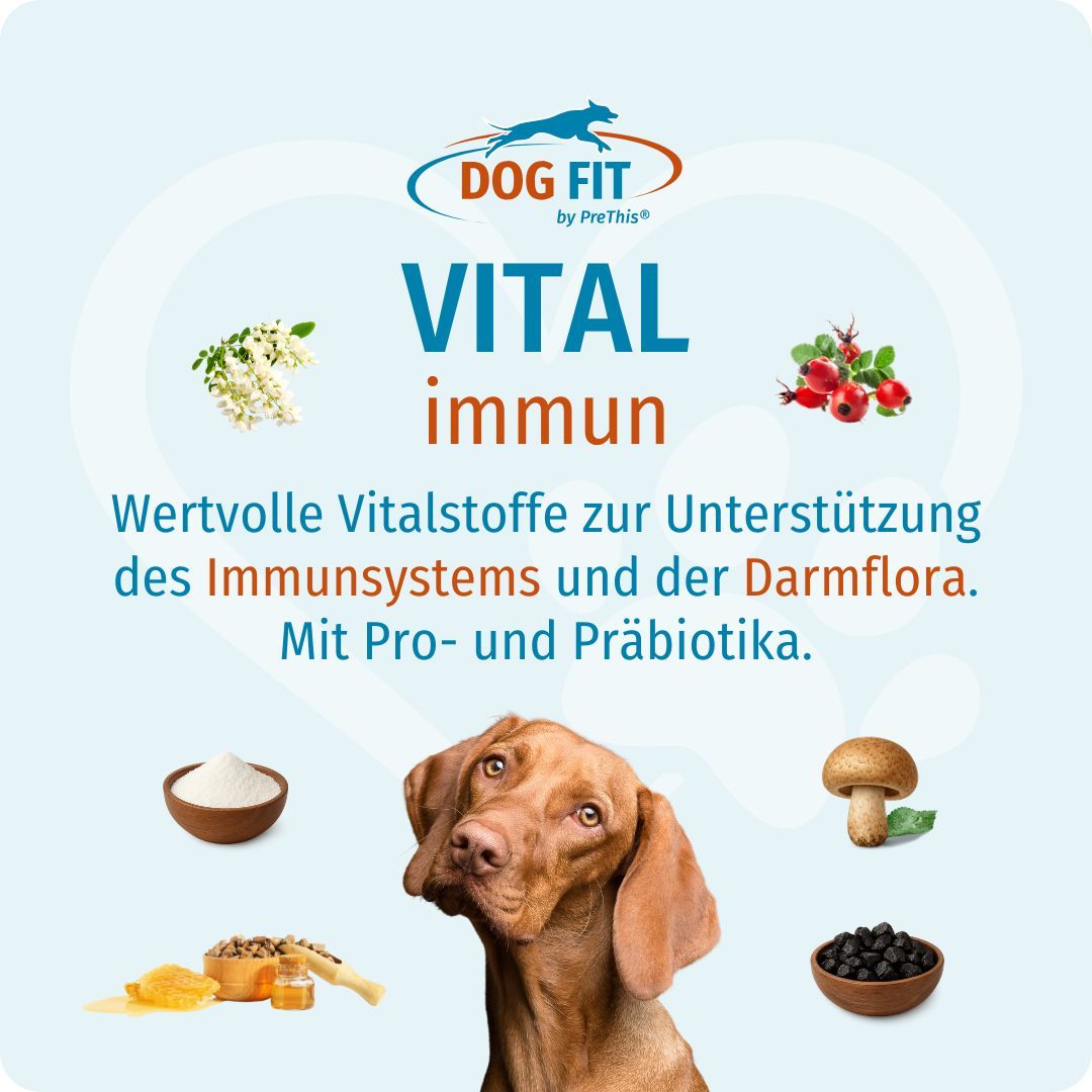DOG FIT by PreThis® VITAL immun. Produktabbildung mit Zutaten und Hund. Text: Wertvolle Vitalstoffe zur Unterstützung des Immunsystems.