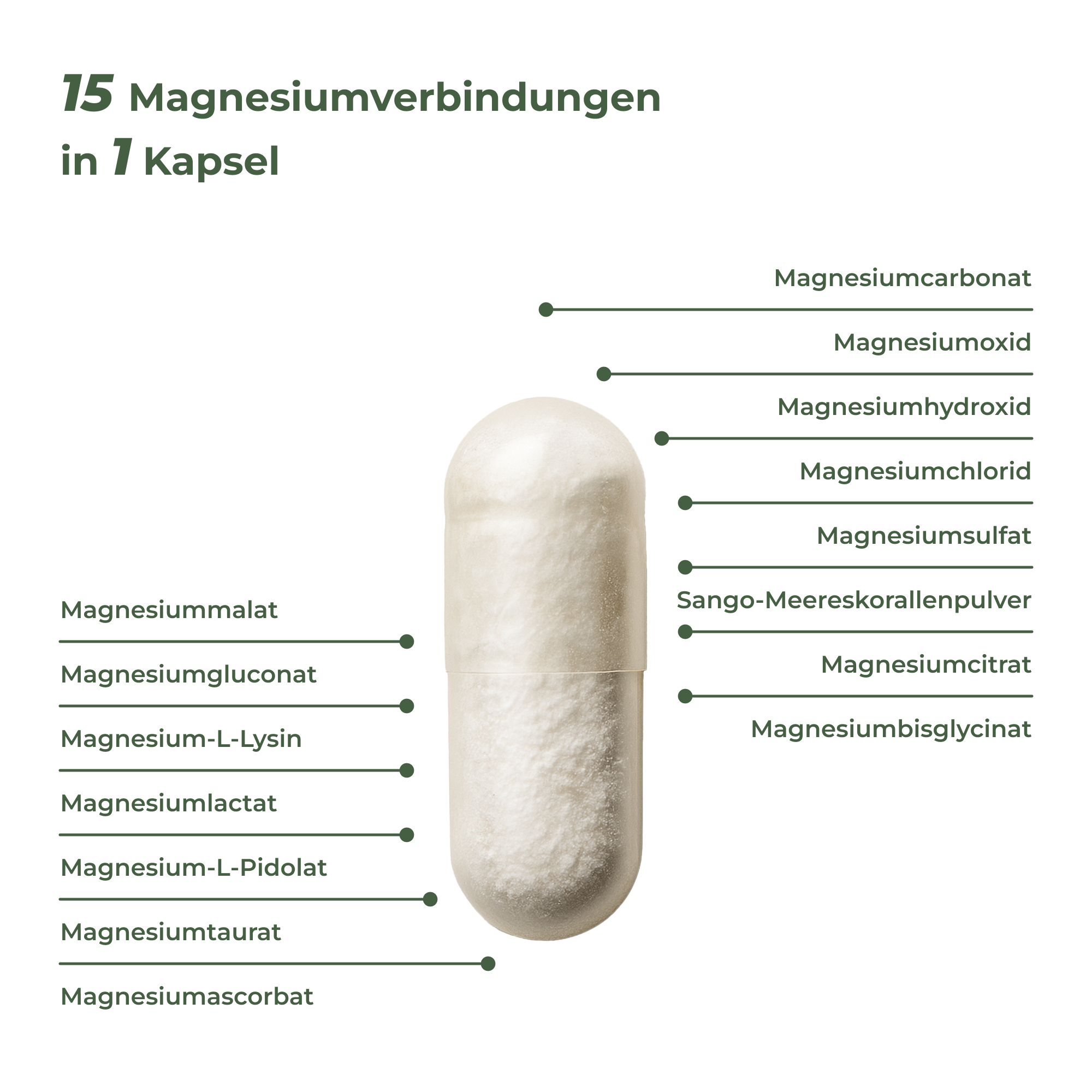 Vitality Nutritionals MagNityX15 Complex