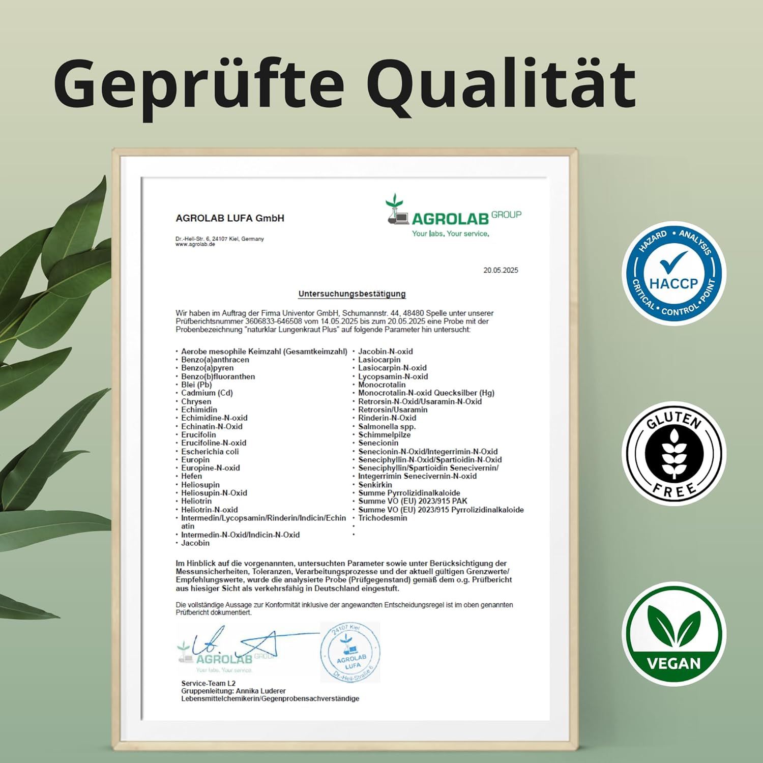 Naturklar Lungenkraut