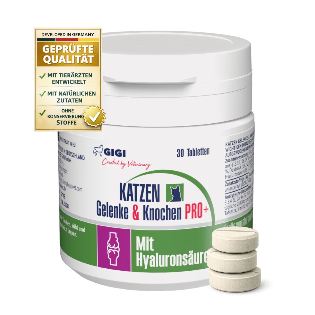 GIGI VET Katzen Gelenke & Knochen PRO+ Dose mit Tabletten. Text: Geprüfte Qualität, 30 Tabletten. GIGI Logo.