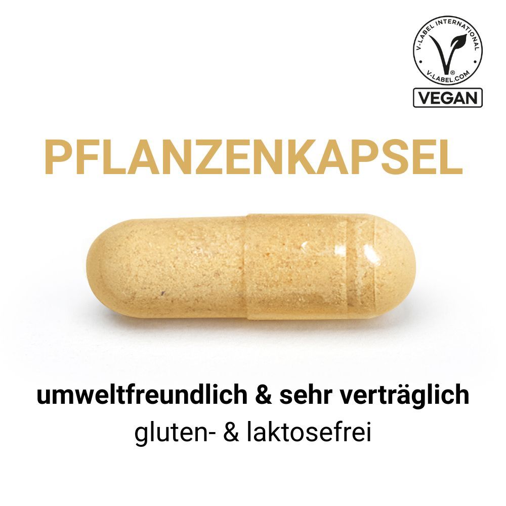 SwissOvit Vitamin B-Komplex