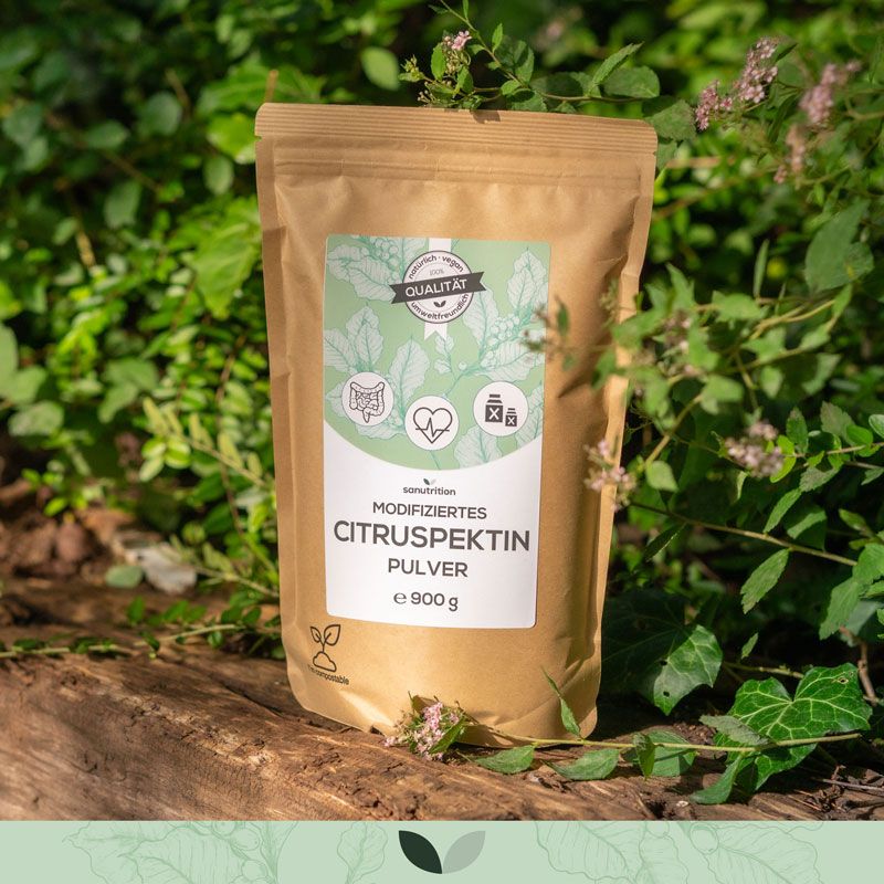 Sanutrition® Modifiziertes Citruspektin in braunem Papierbeutel. Grün-weißes Etikett mit Logo und Qualitätssiegel. Produkt auf Holz, umgeben von Grün.