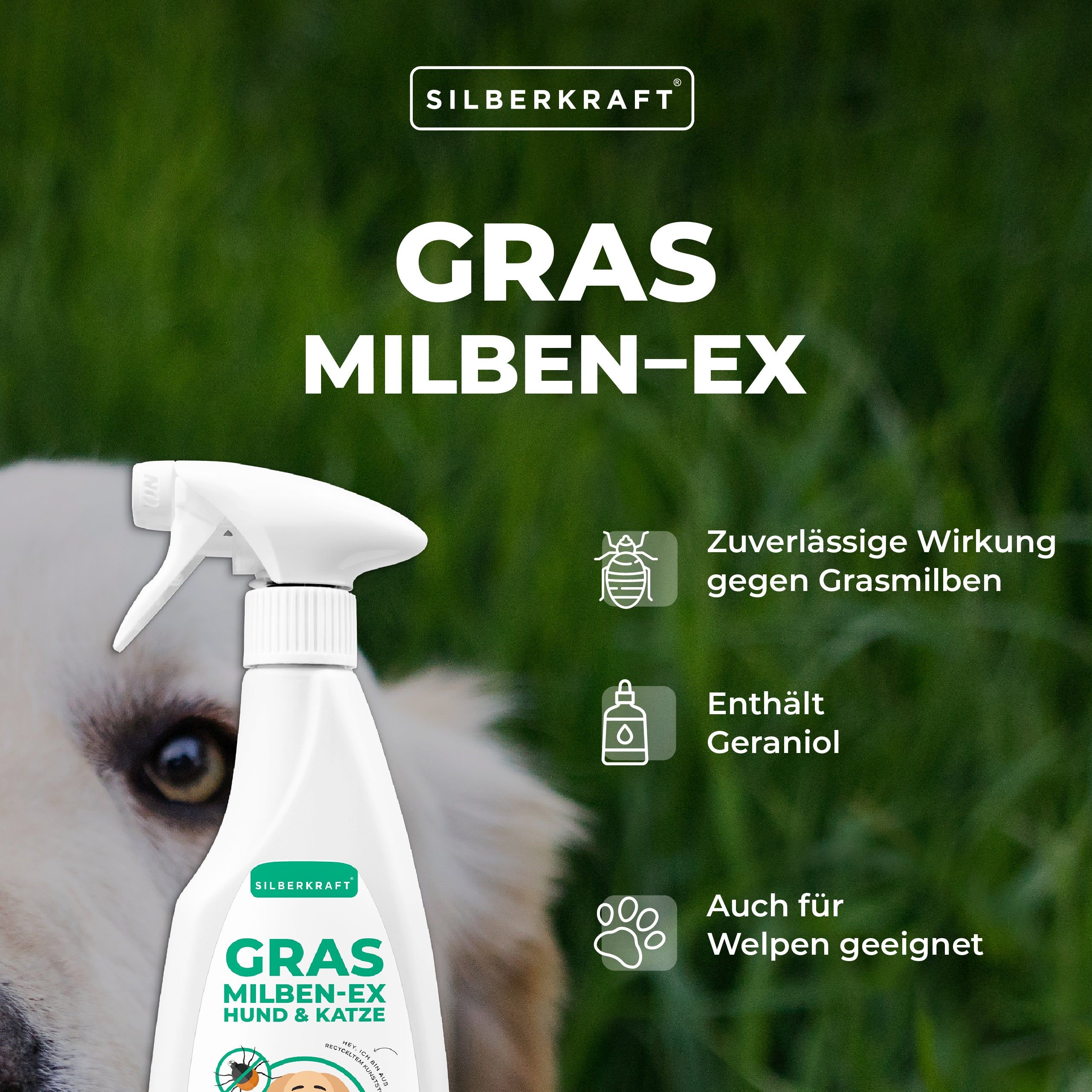 Silberkraft Grasmilben Ex Hund & Katze 2x500 ml Spray