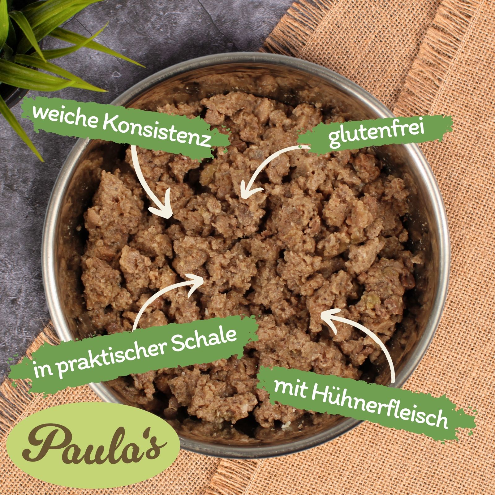 Hundefutter in Schale. Text: weiche Konsistenz, glutenfrei, in praktischer Schale, mit Hühnerfleisch. Logo: Paula's.