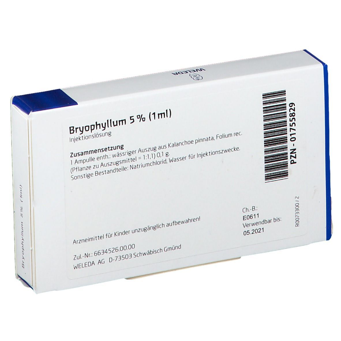 Bryophyllum 5% 1 ml Ampullen