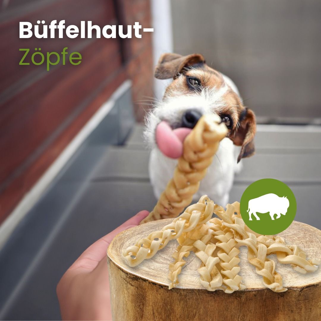 Geflochtene Büffelhaut-Zöpfe, 100% Büffelhaut, proteinreich, geringer Fettanteil.