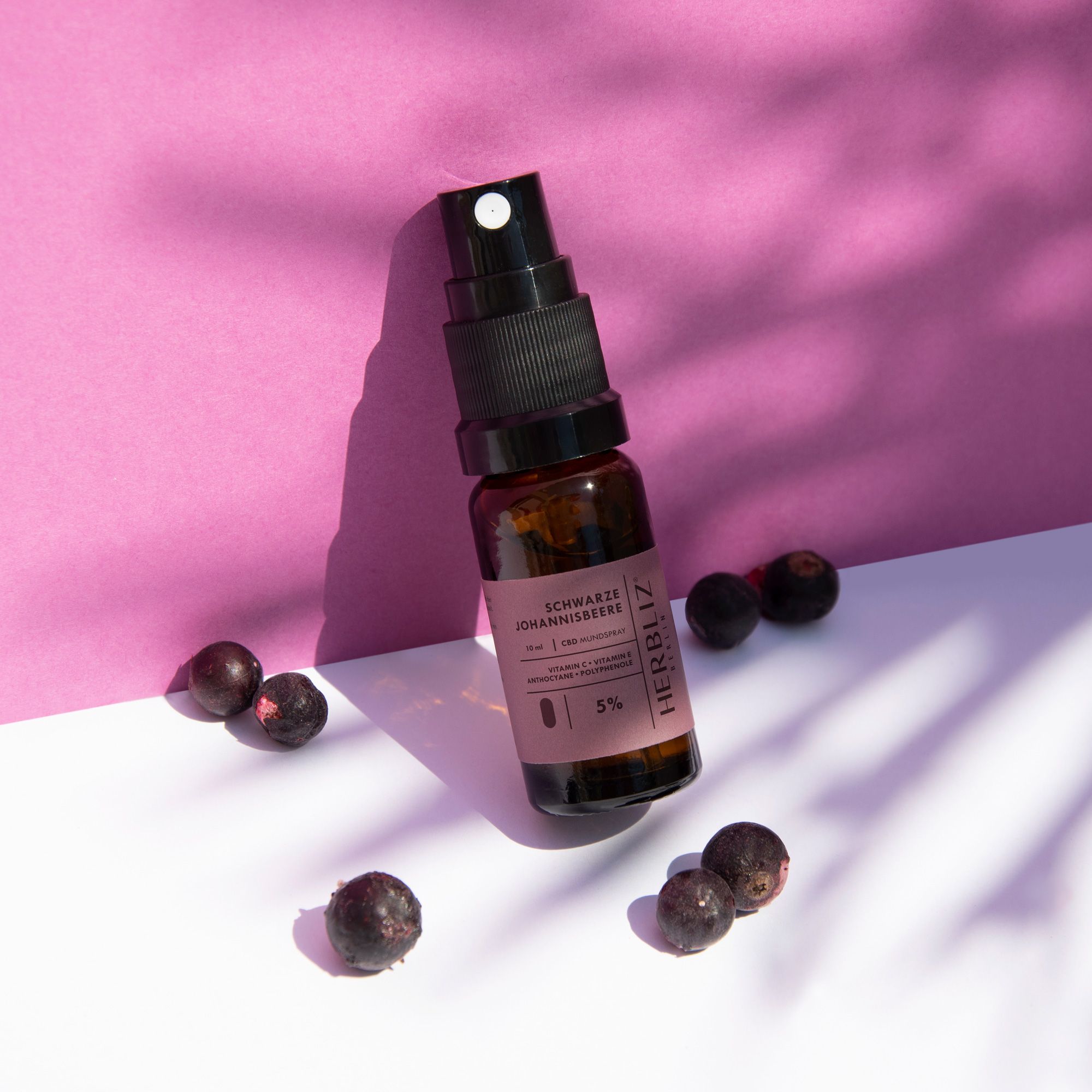 HERBLIZ Schwarze Johannisbeere CBD Öl 10%
