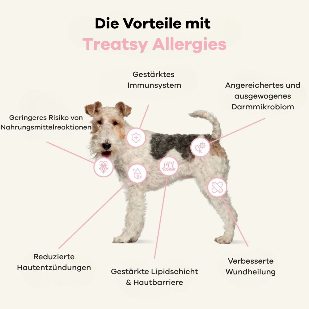 Infografik: Vorteile mit Treatsy Allergies. Hund mit Kreisen, die Vorteile zeigen: Immunsystem, Haut.