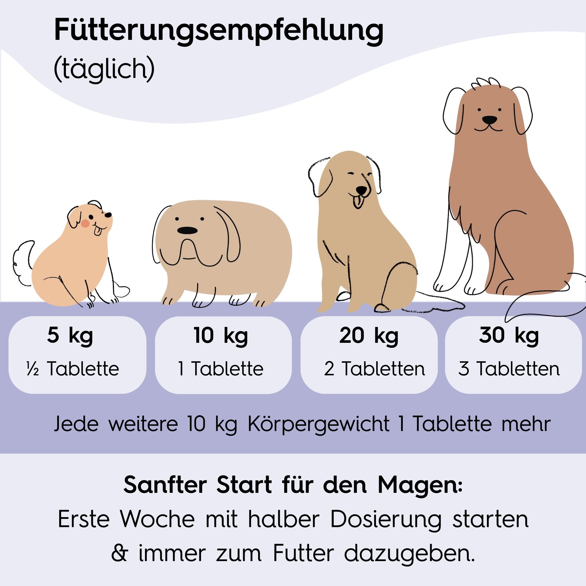 Infografik: Fütterungsempfehlung für Hunde nach Gewicht. 4 Hunde in verschiedenen Größen. Text: Tablettenanzahl.