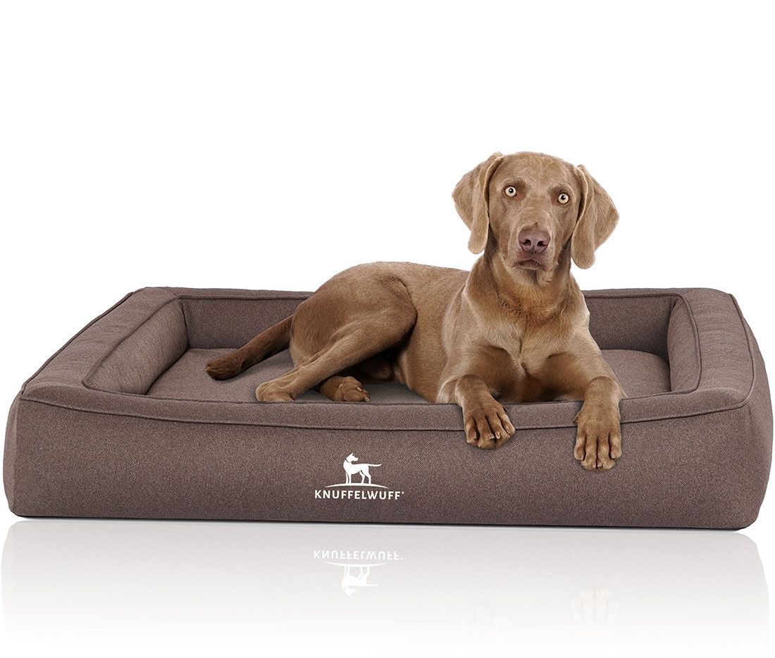 Hund liegt auf braunem Hundebett. Das Bett hat einen erhöhten Rand und das Knuffelwuff-Logo. Rechteckige Form.