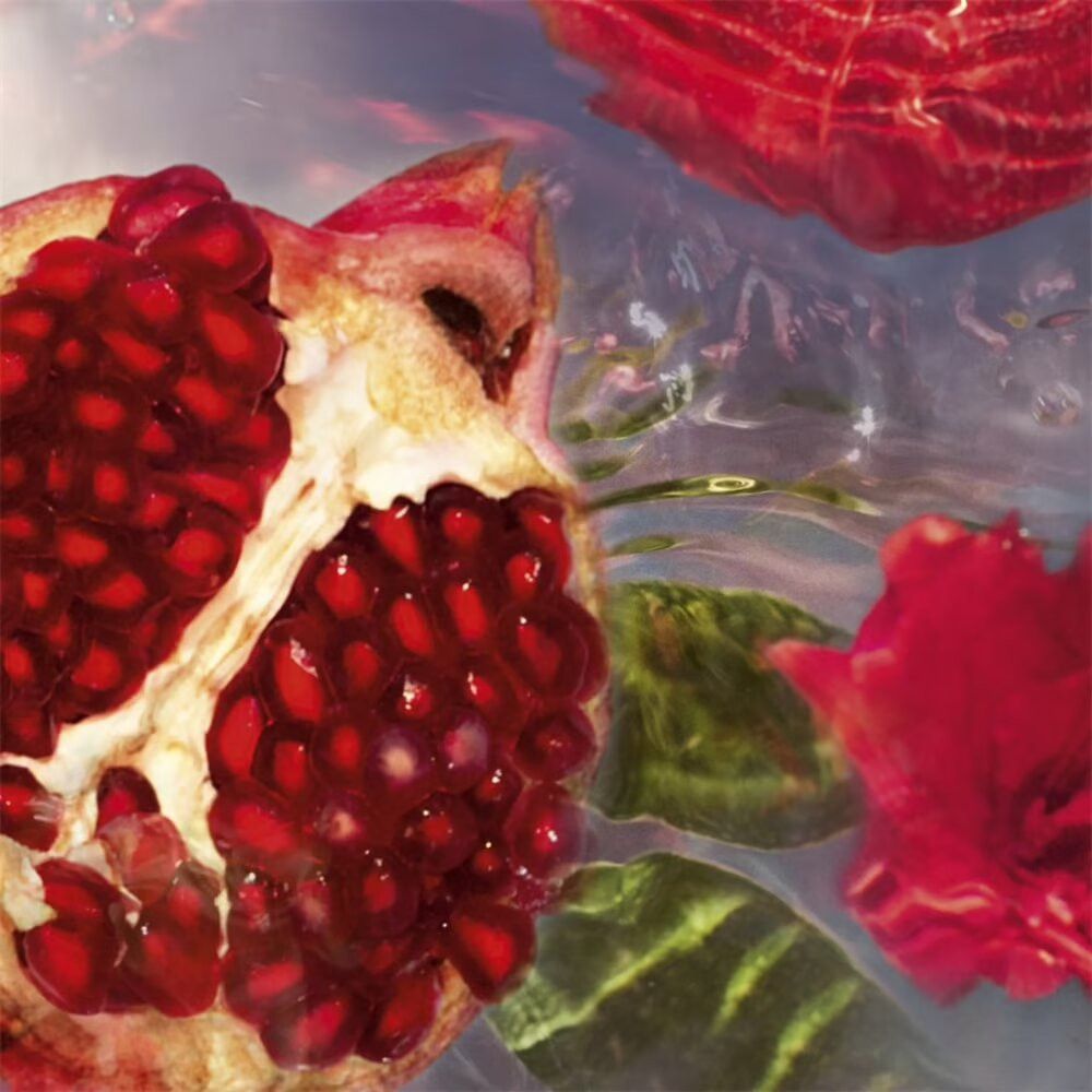 Granatapfelhälfte mit roten Kernen, umgeben von Wasser und roten Blütenblättern. Nahaufnahme.