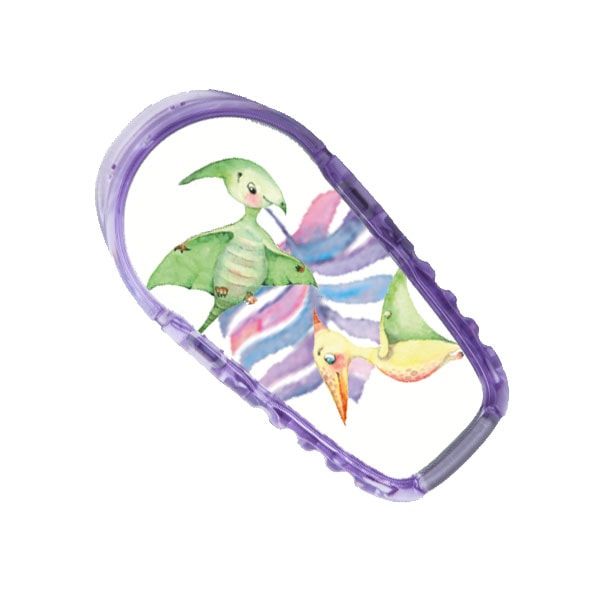 Ein Aufkleber mit Dinosaurier-Motiven in einem lila Rahmen. Zwei fliegende Dinosaurier.